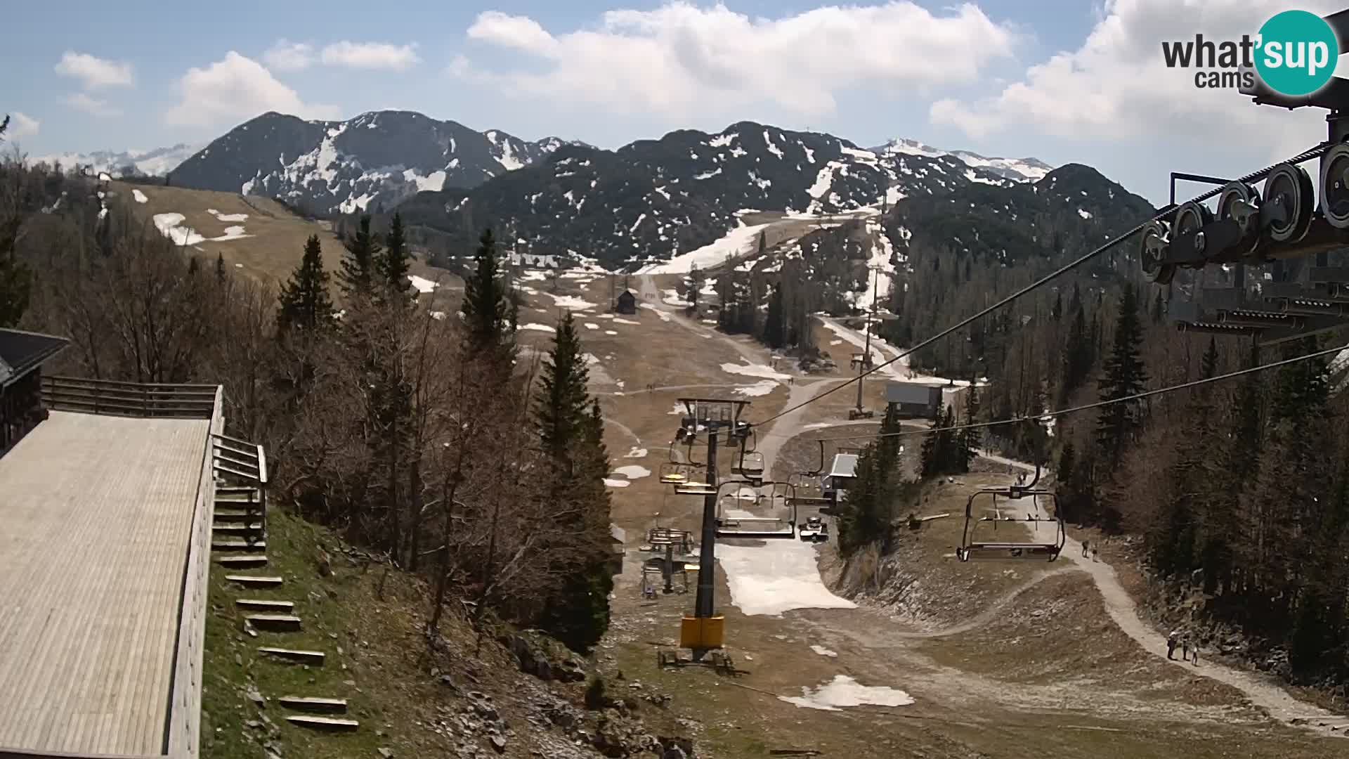 Vogel web kamera – Brunarica – Slovenija
