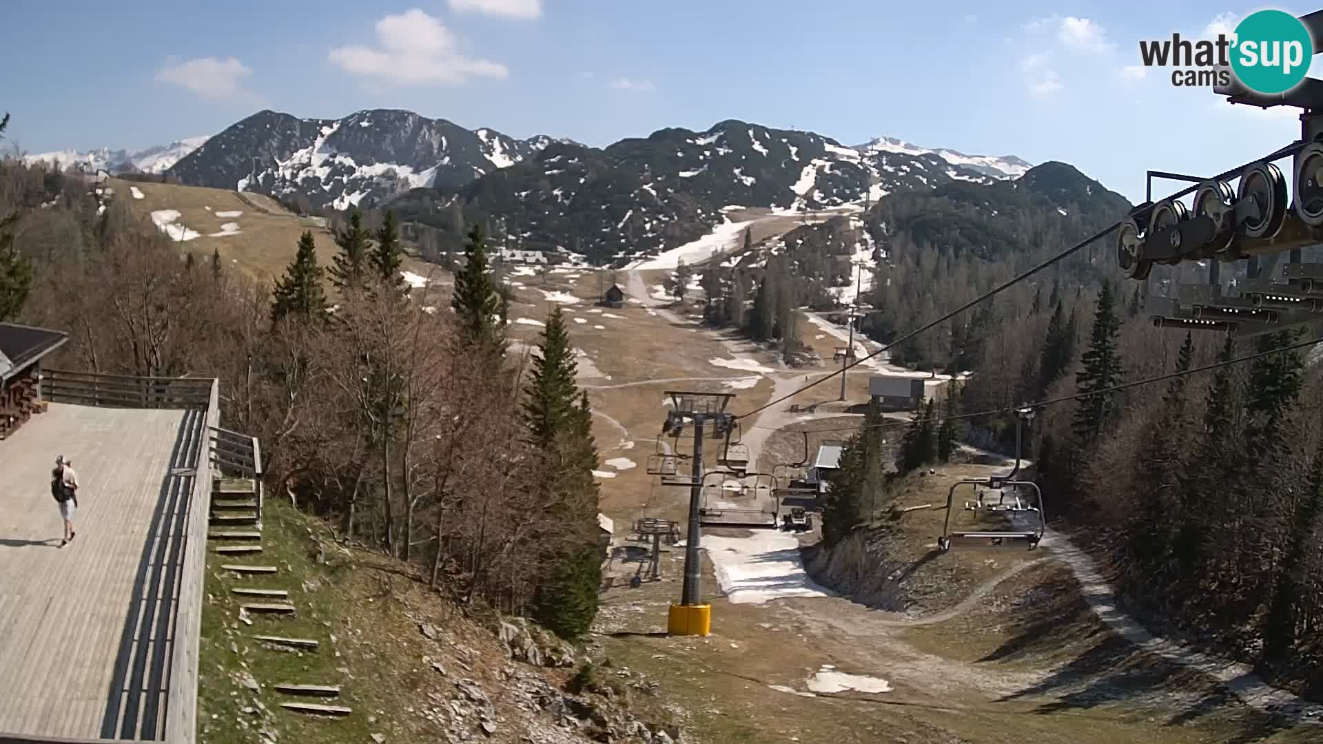 Vogel webcam kamera – Brunarica – Slowenien