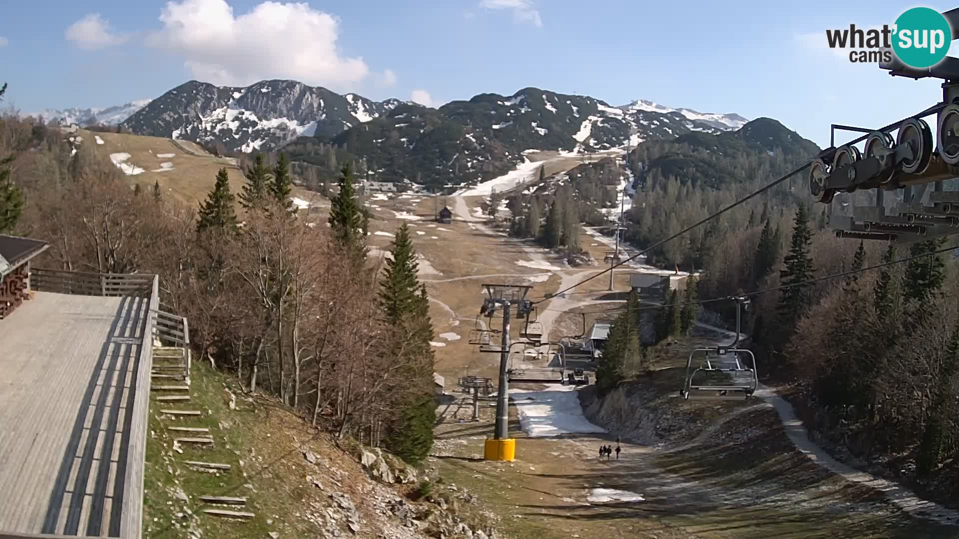 Vogel webcam kamera – Brunarica – Slowenien