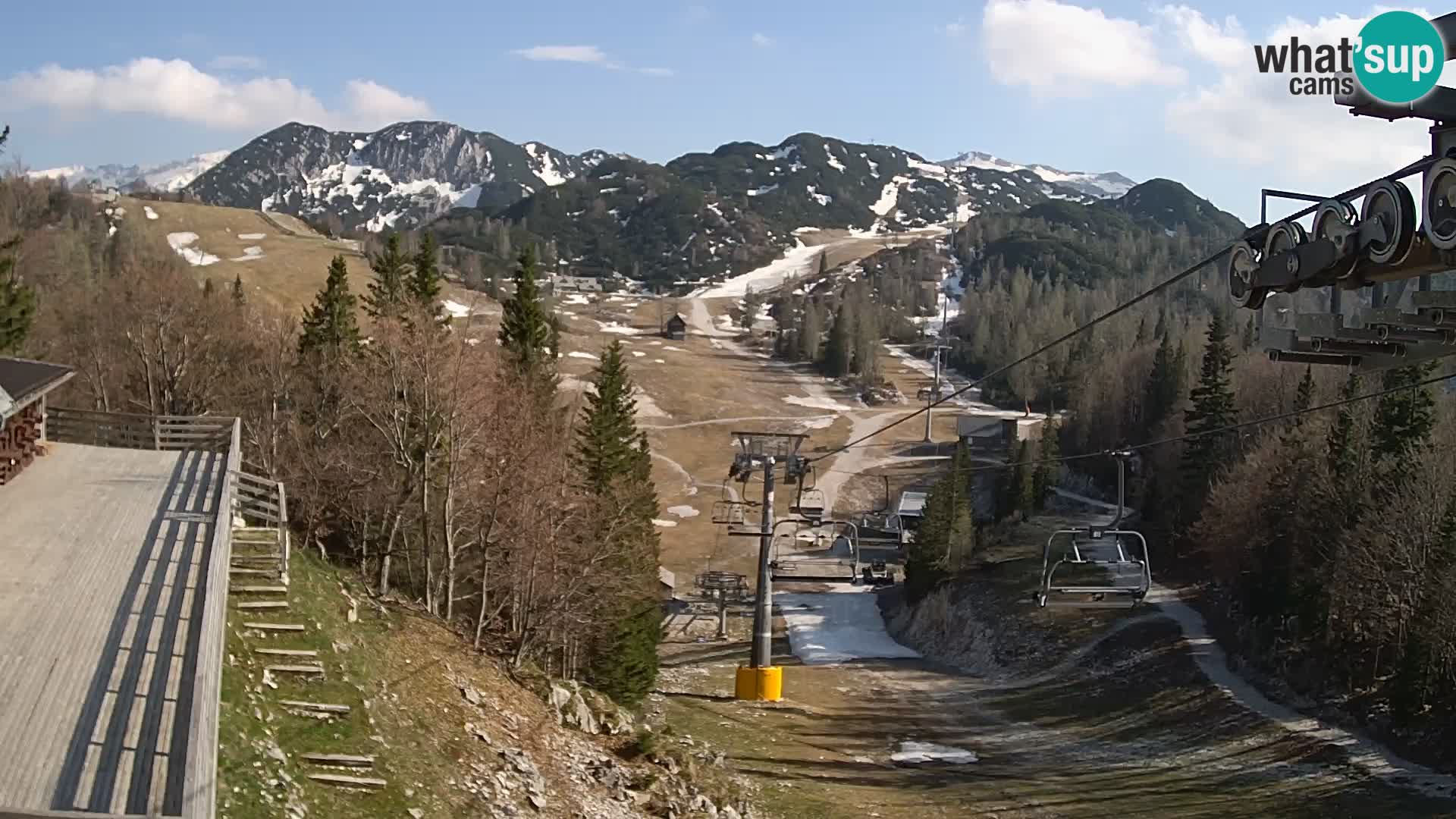 Vogel webcam kamera – Brunarica – Slowenien