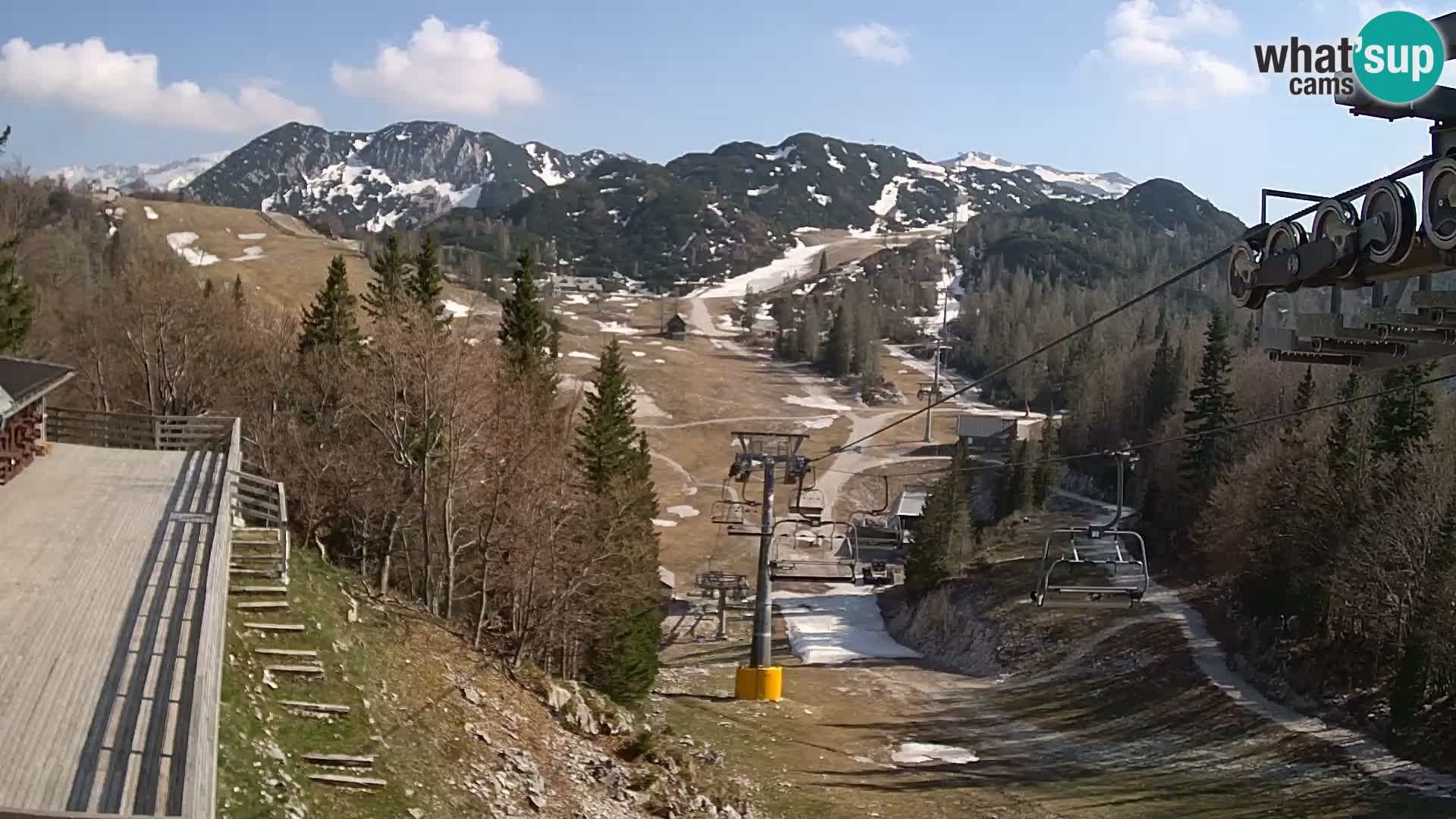 Vogel webcam kamera – Brunarica – Slowenien