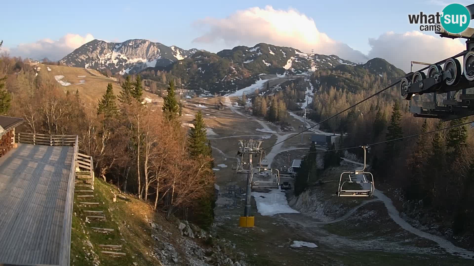 Vogel webcam kamera – Brunarica – Slowenien