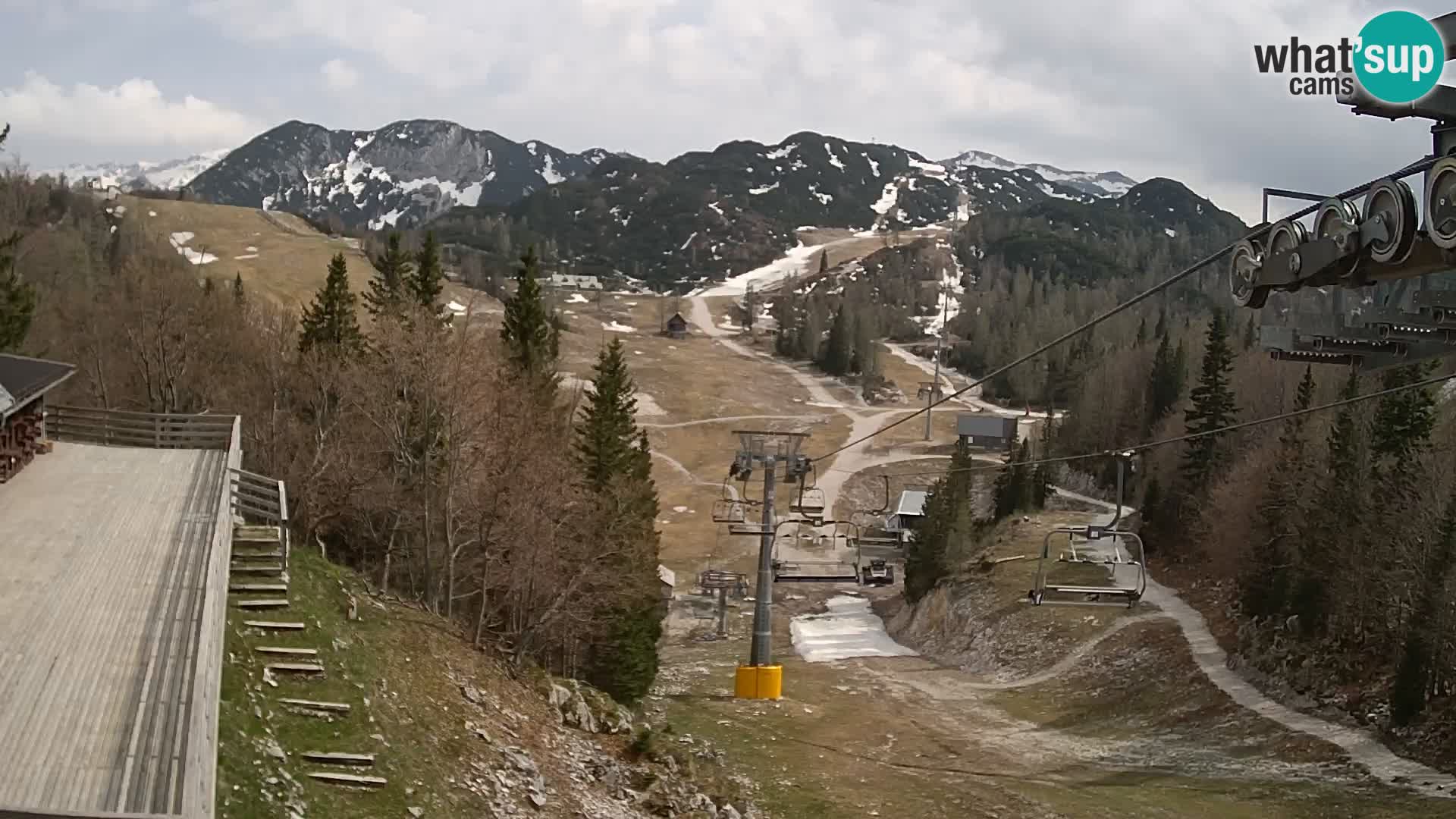 Vogel web kamera – Brunarica – Slovenija