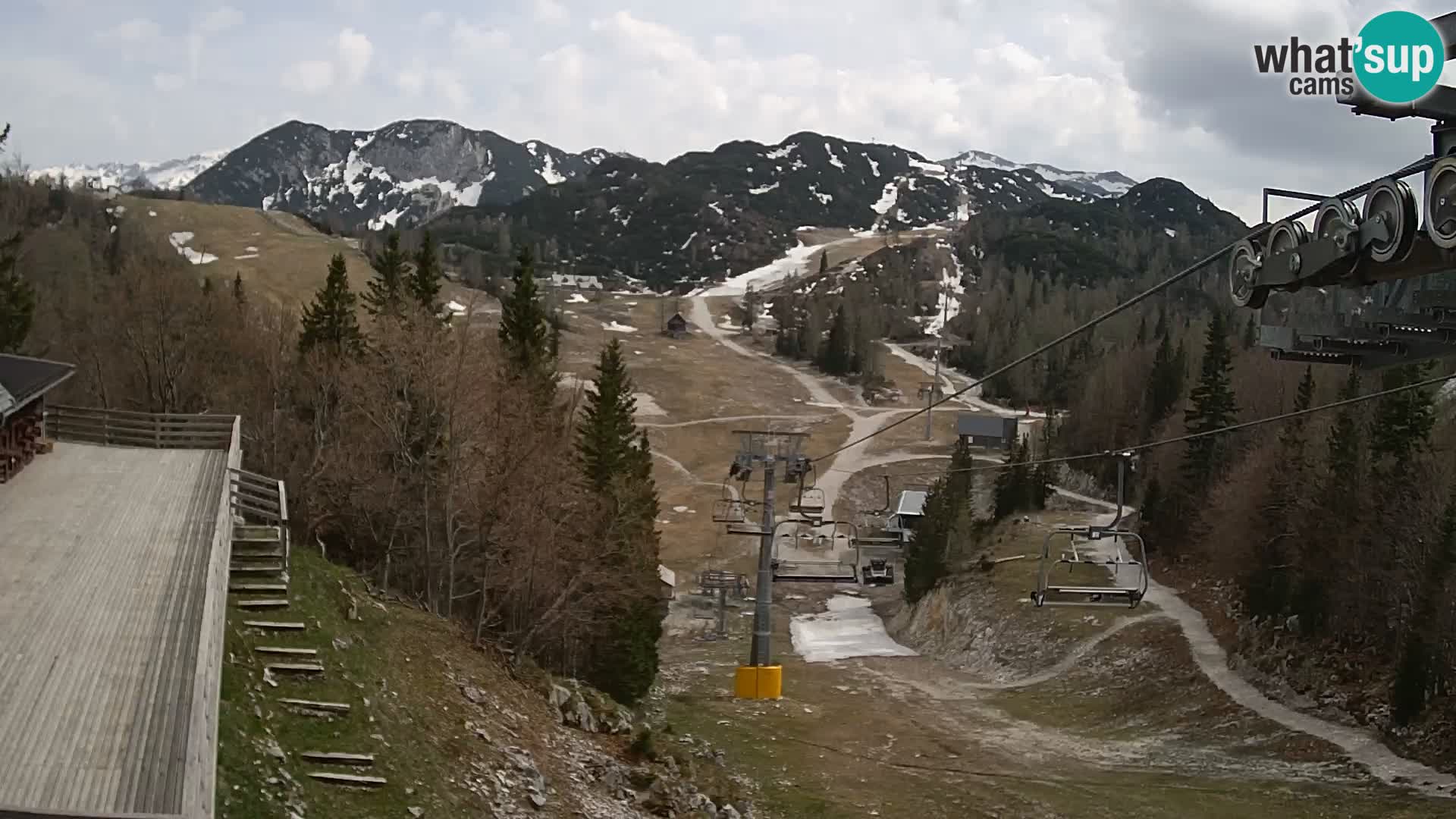 Vogel webcam kamera – Brunarica – Slowenien