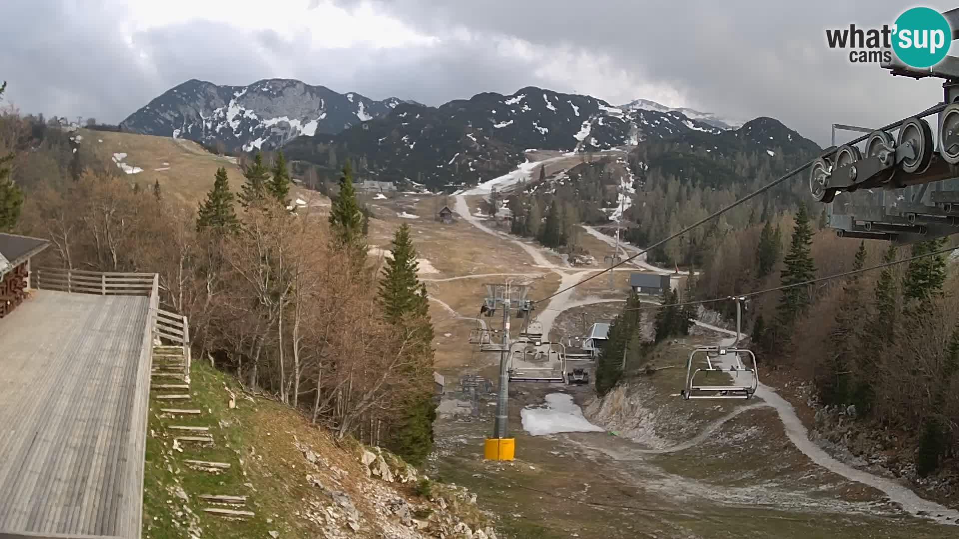Vogel Live webcam – Brunarica – Slovénie
