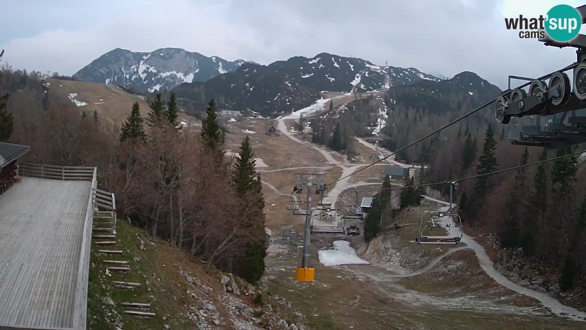 Vogel webcam kamera – Brunarica – Slowenien