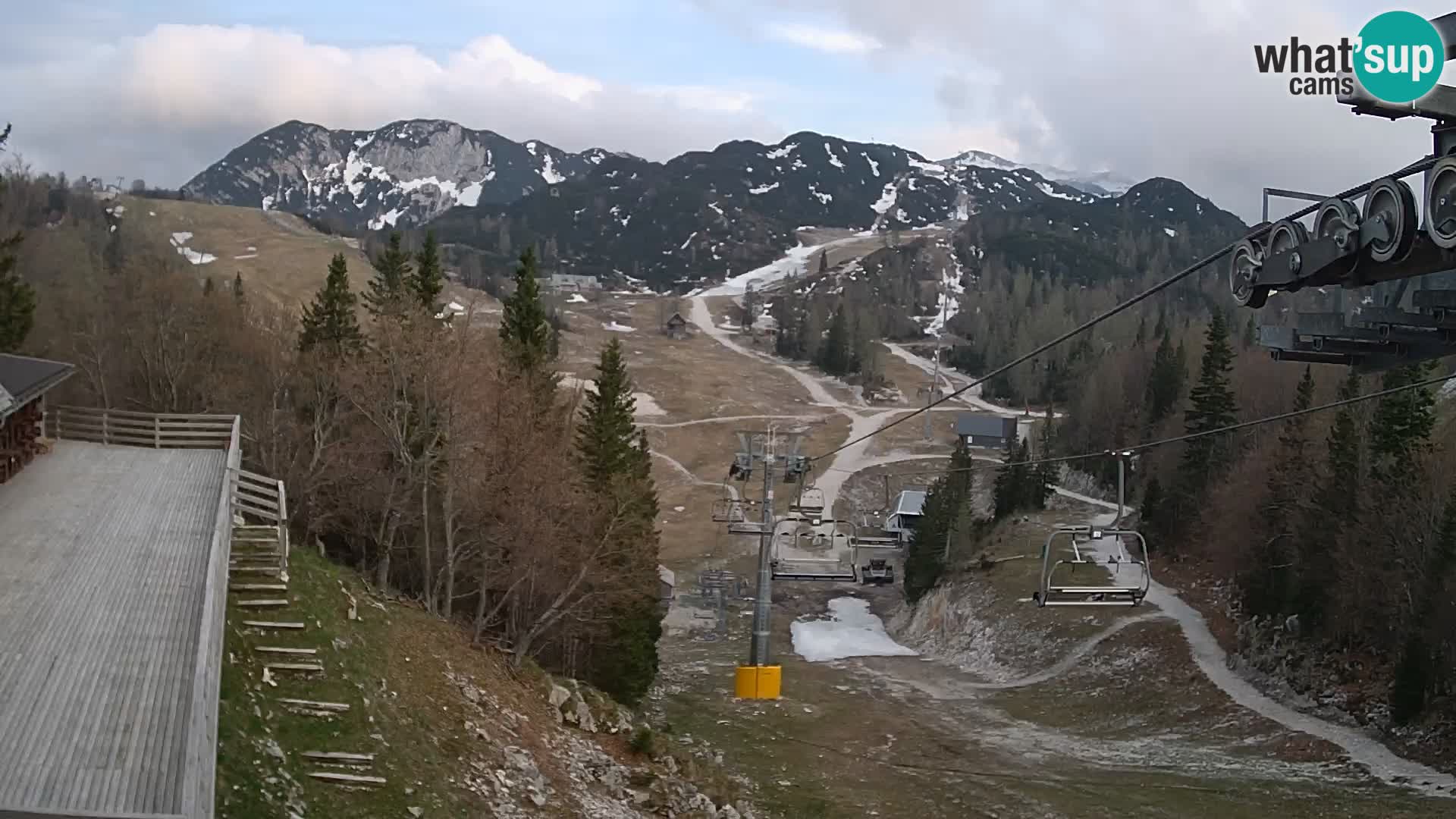 Vogel webcam kamera – Brunarica – Slowenien