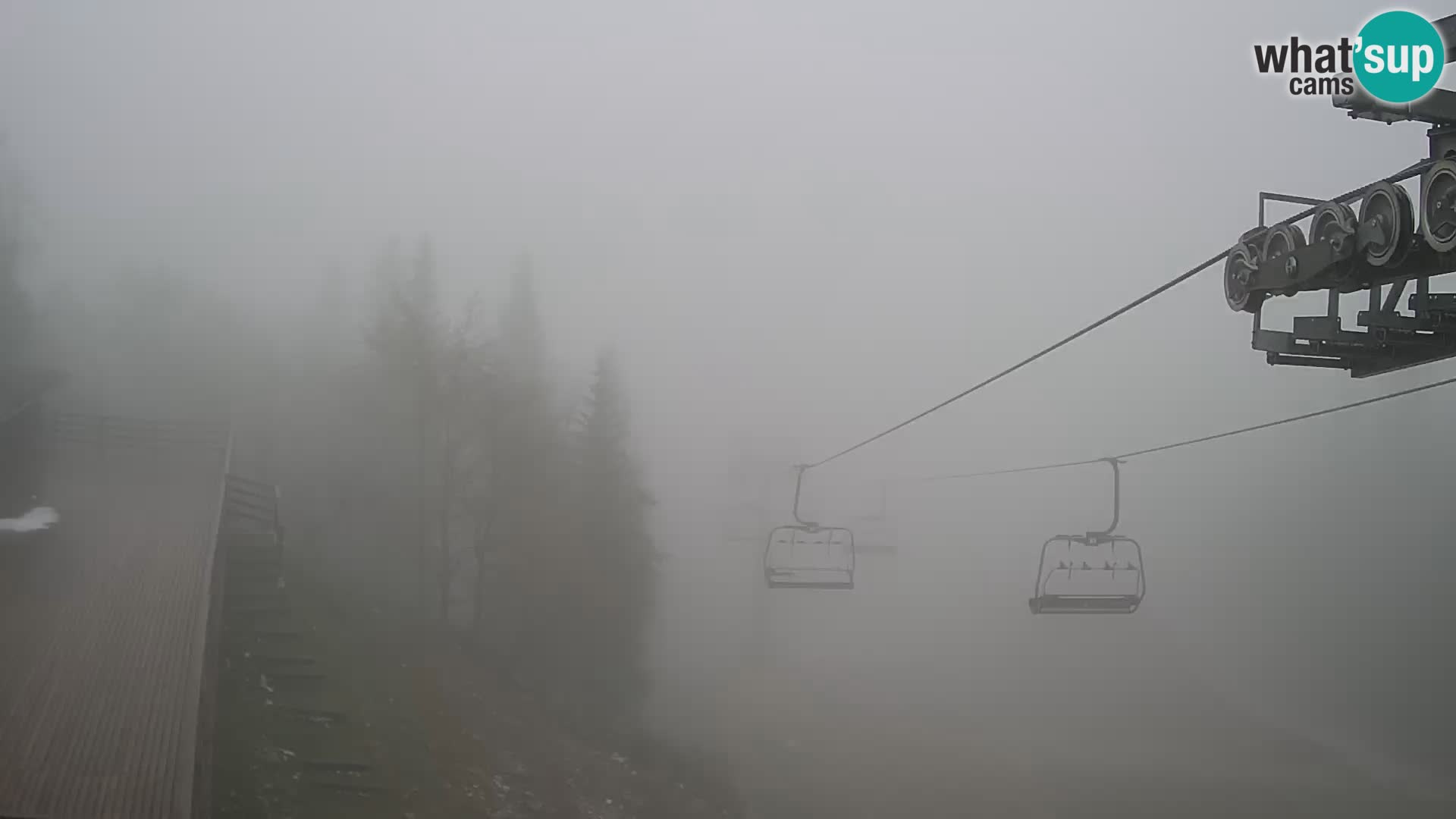 Vogel web kamera – Brunarica – Slovenija