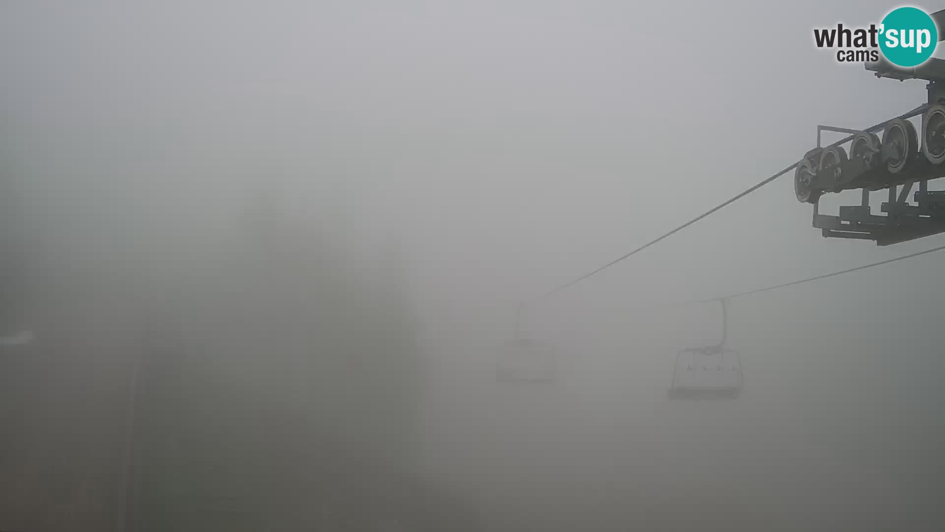 Vogel web kamera – Brunarica – Slovenija