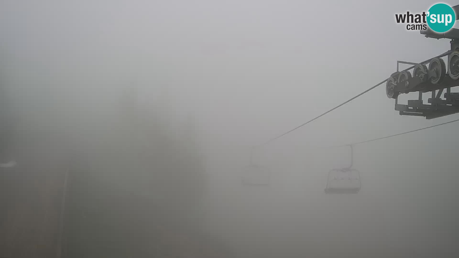 Vogel webcam kamera – Brunarica – Slowenien