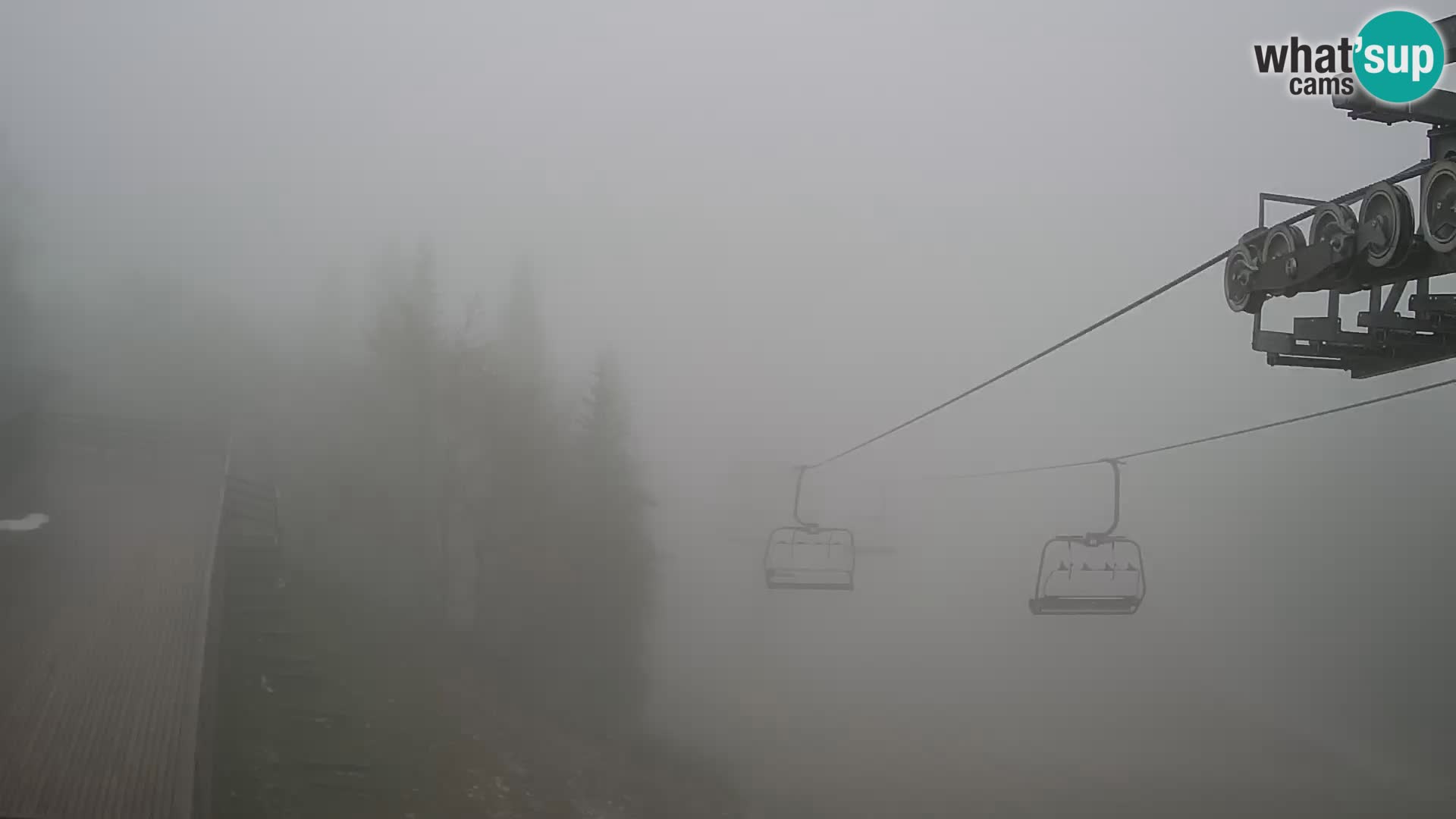 Vogel web kamera – Brunarica – Slovenija
