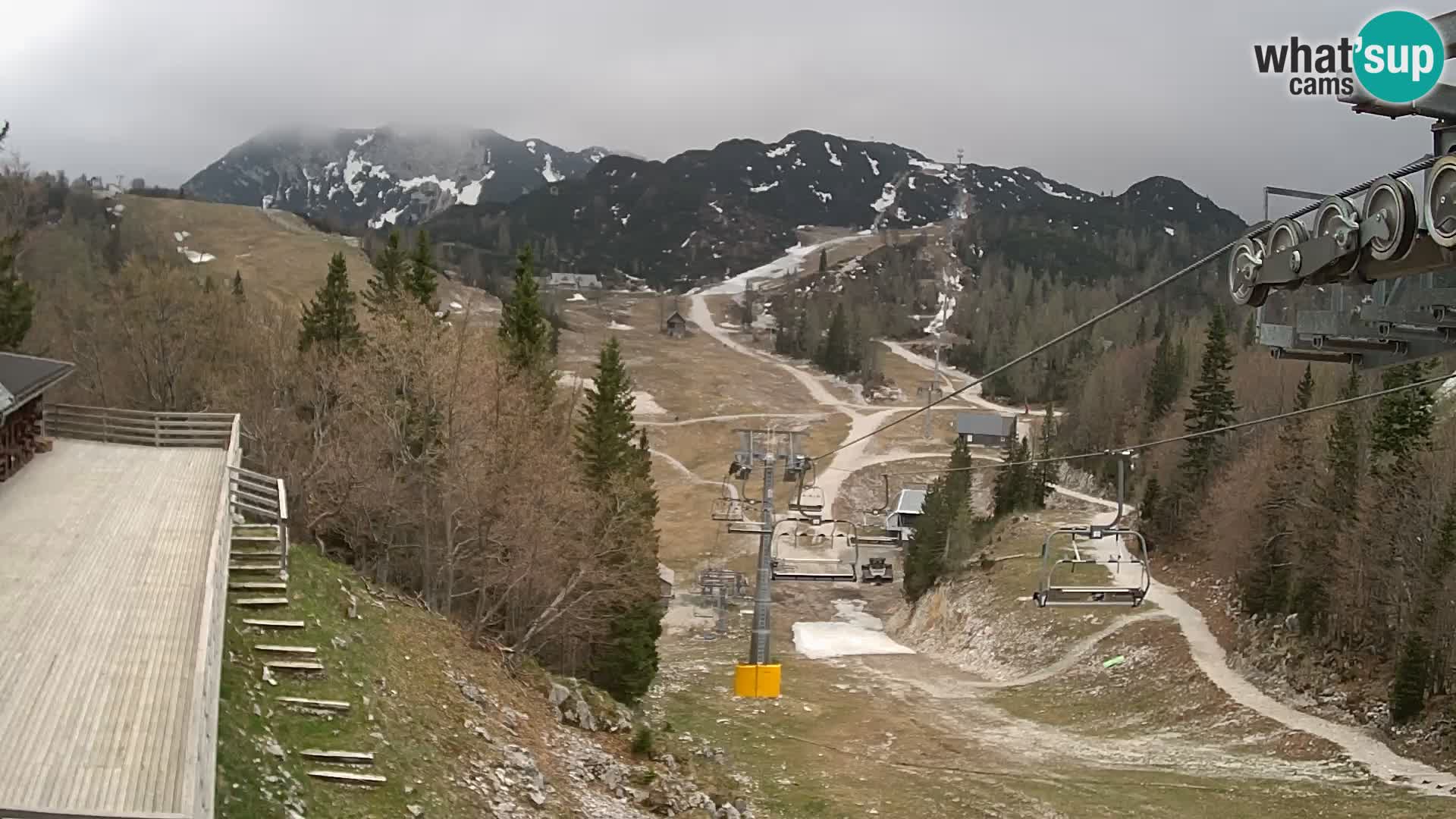 Vogel web kamera – Brunarica – Slovenija