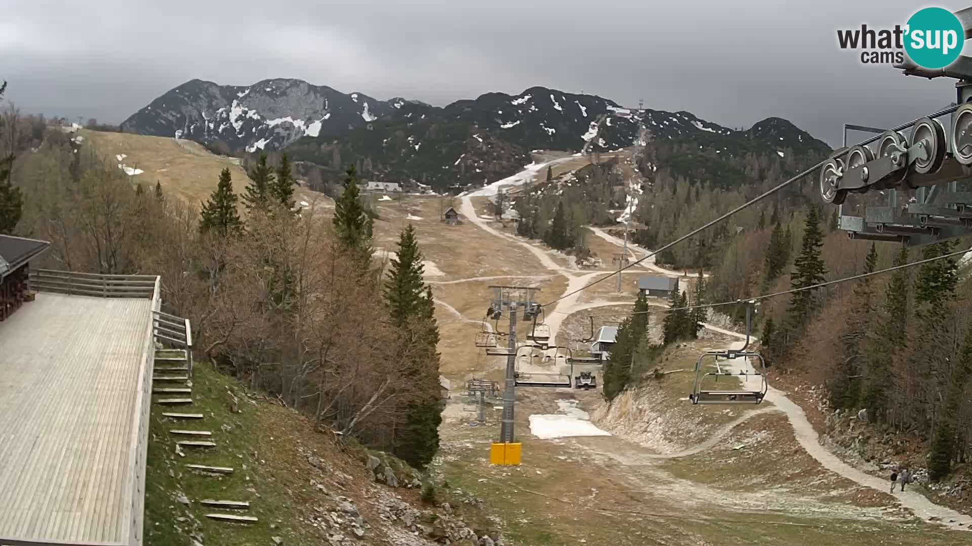 Vogel webcam en vivo – Brunarica – Eslovenia