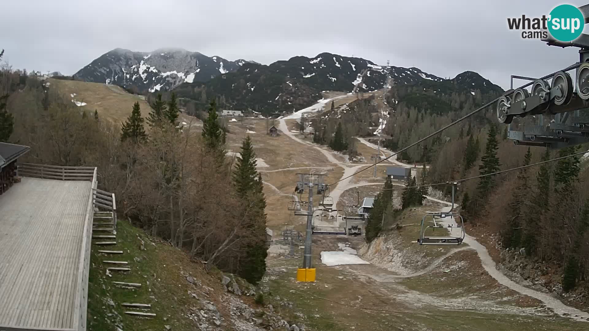Vogel webcam kamera – Brunarica – Slowenien