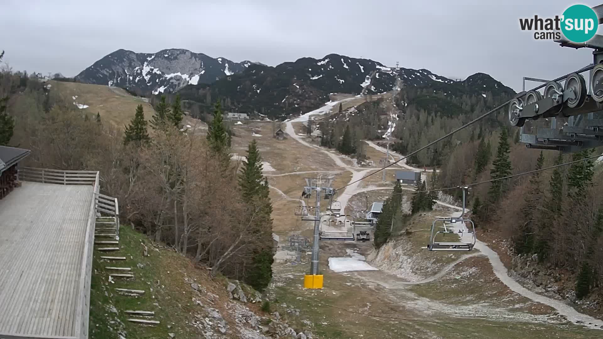 Vogel spletna kamera – Brunarica – Bohinj