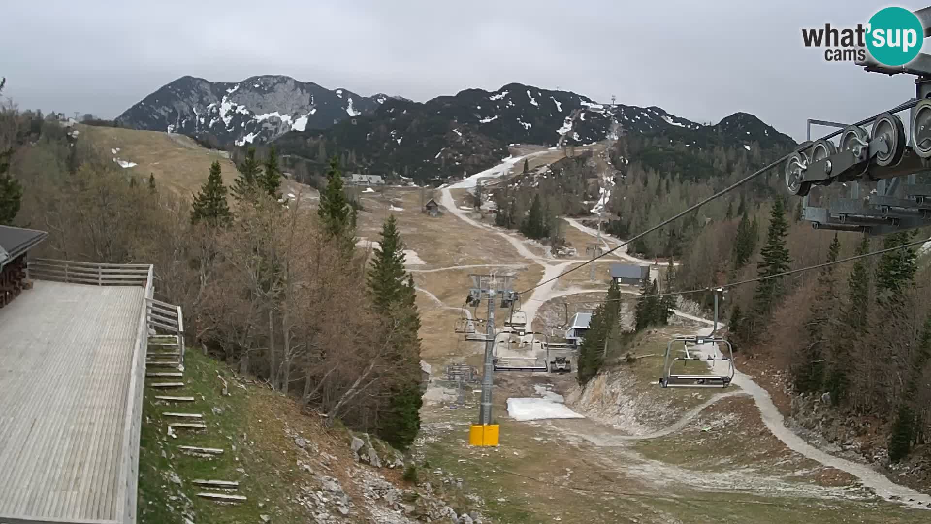 Vogel webcam kamera – Brunarica – Slowenien
