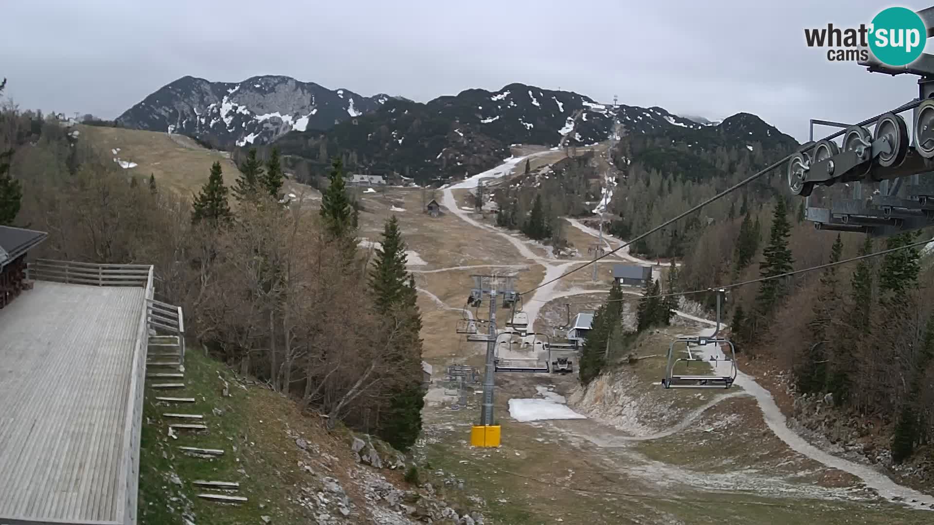 Vogel webcam kamera – Brunarica – Slowenien