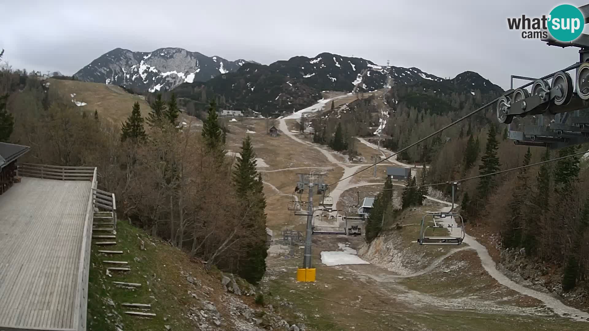 Vogel webcam kamera – Brunarica – Slowenien