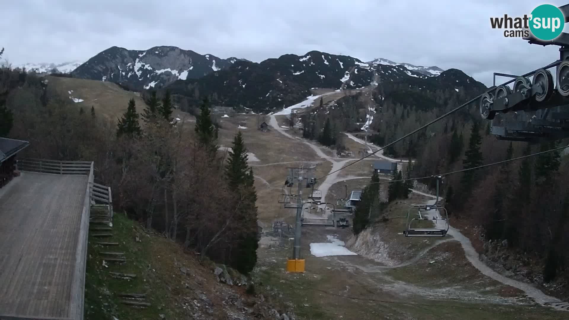 Vogel web kamera – Brunarica – Slovenija