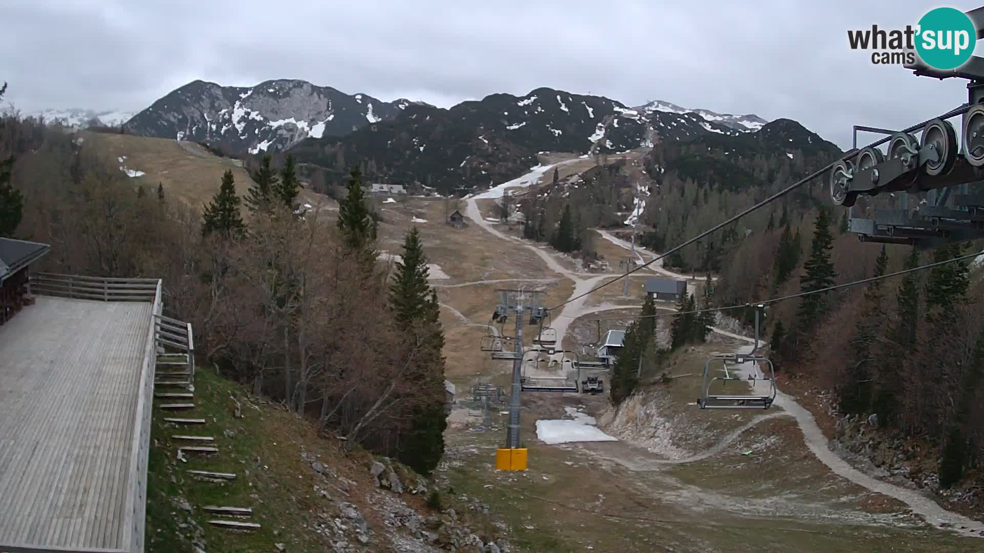 Vogel webcam kamera – Brunarica – Slowenien