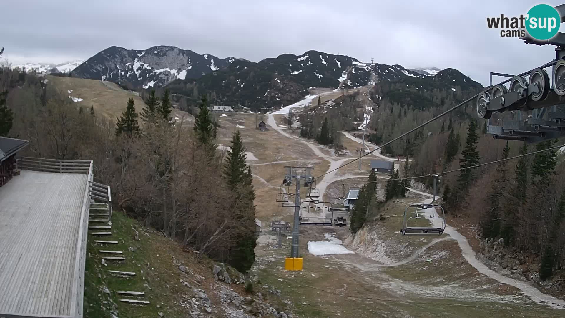 Vogel webcam en vivo – Brunarica – Eslovenia