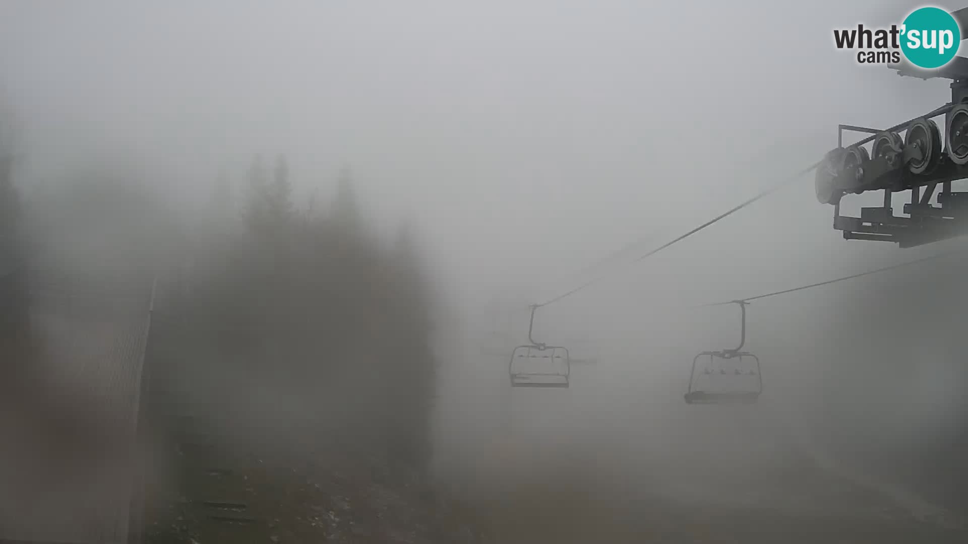 Vogel webcam kamera – Brunarica – Slowenien