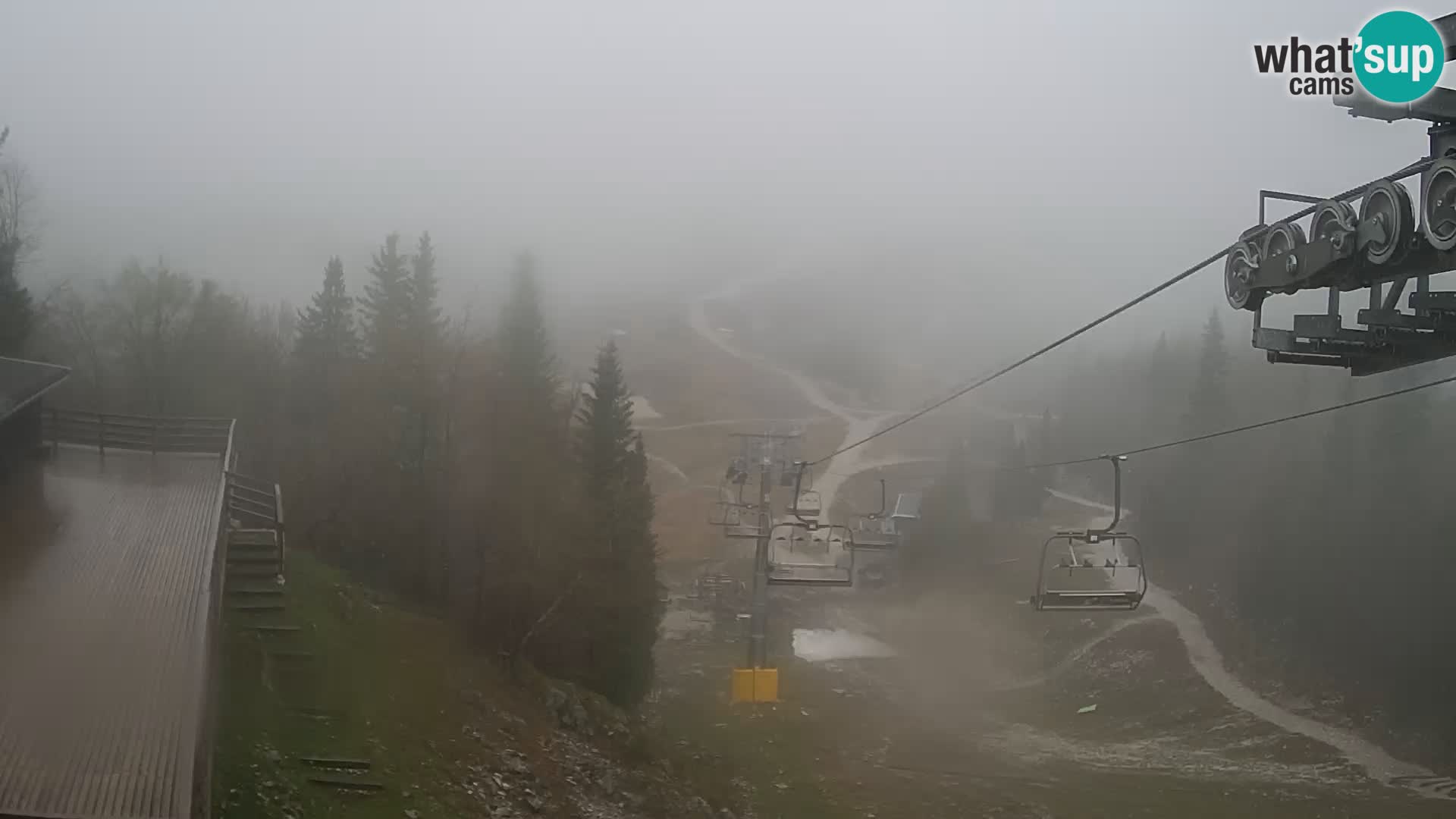 Vogel webcam kamera – Brunarica – Slowenien