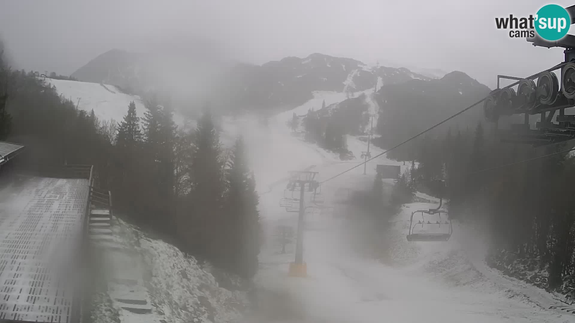 Vogel webcam kamera – Brunarica – Slowenien