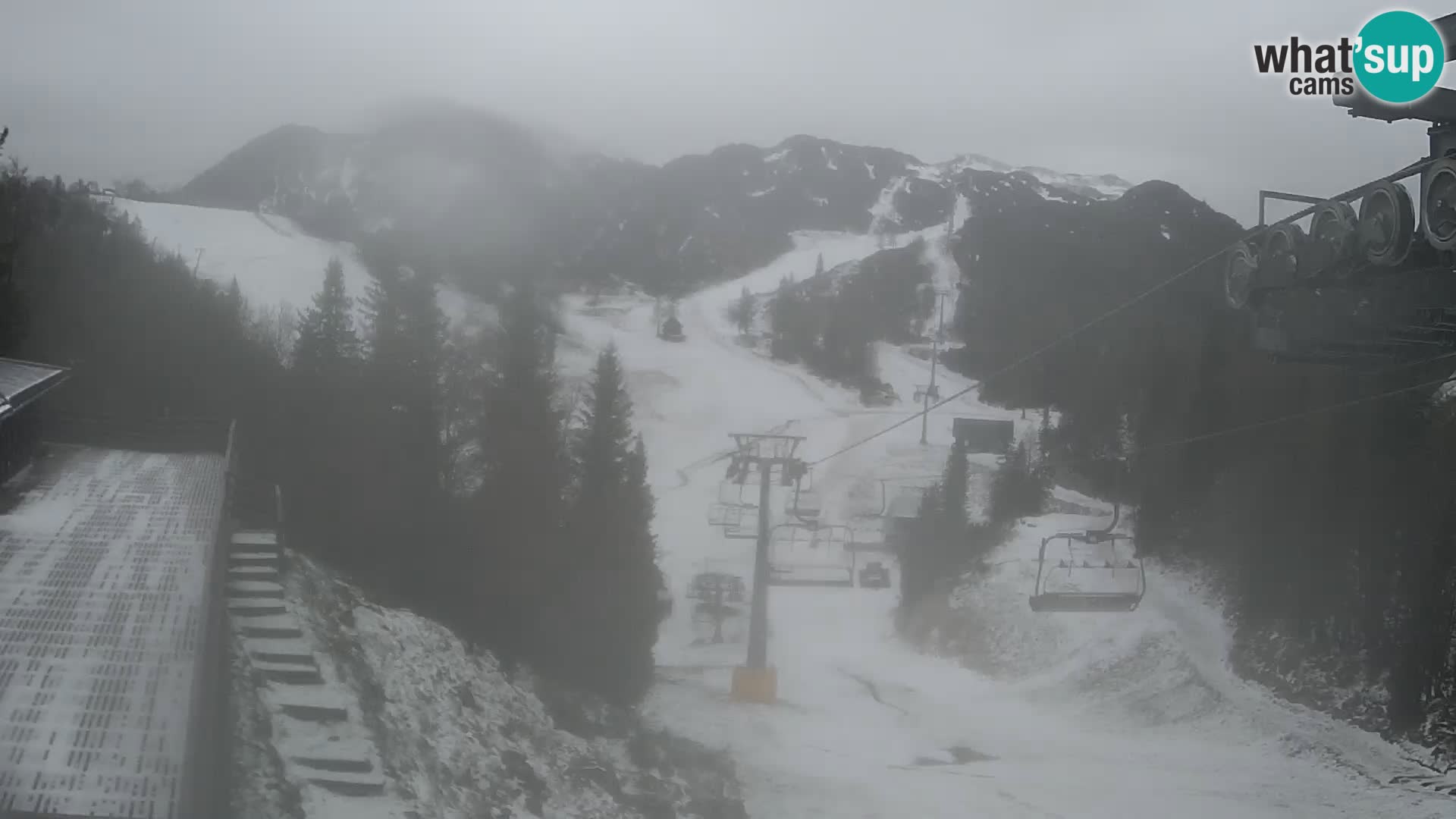 Vogel Live webcam – Brunarica – Slovénie