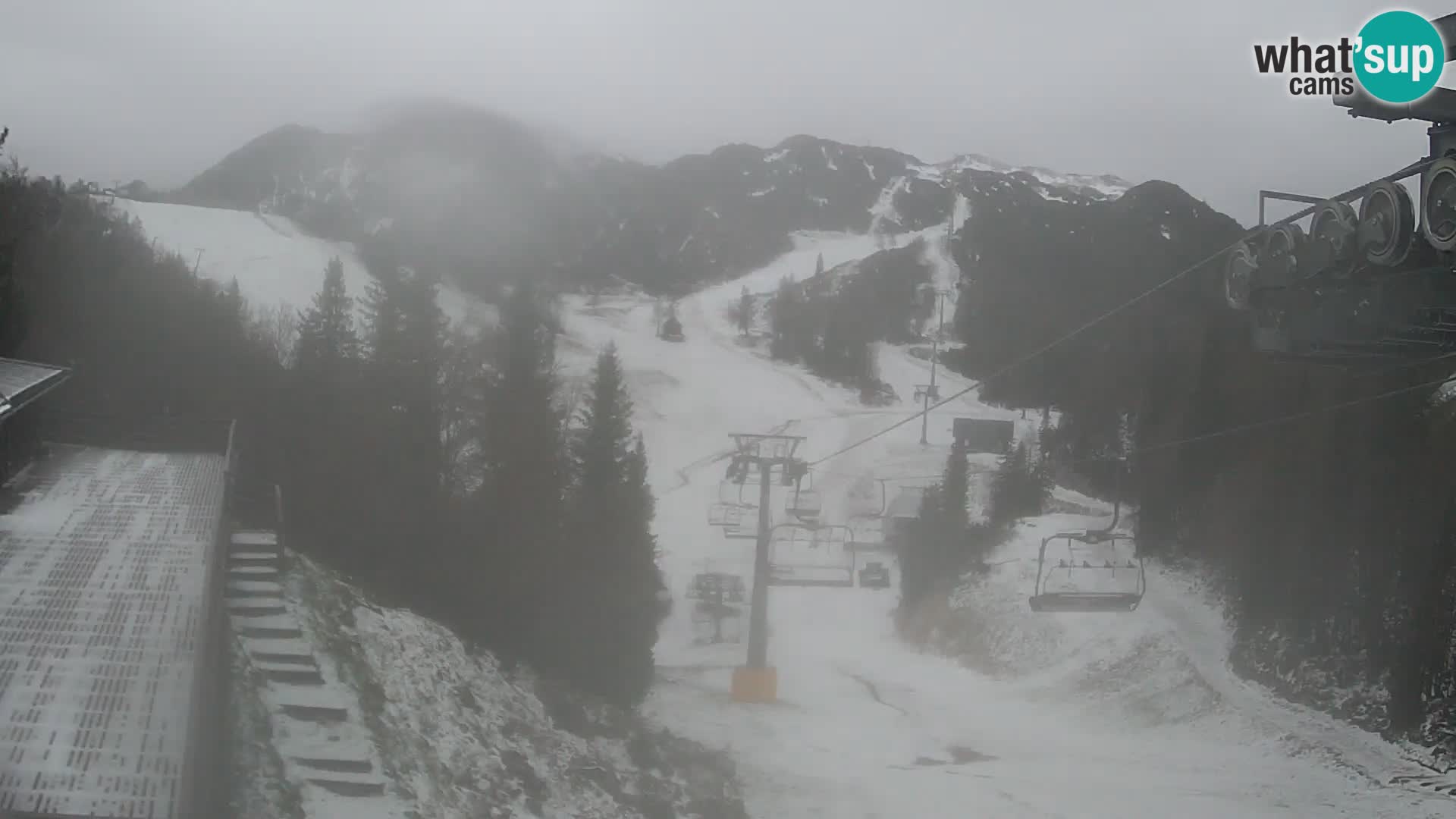 Vogel webcam kamera – Brunarica – Slowenien