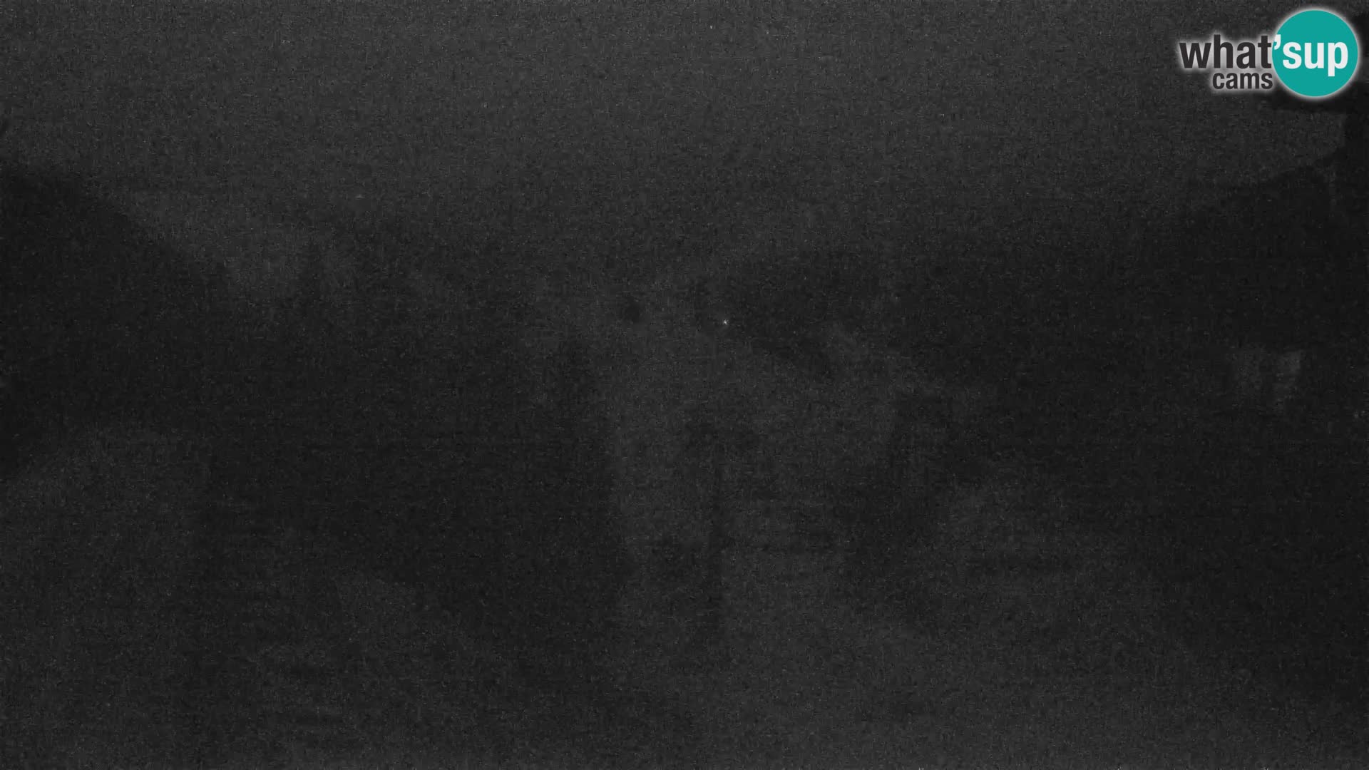 Vogel webcam kamera – Brunarica – Slowenien