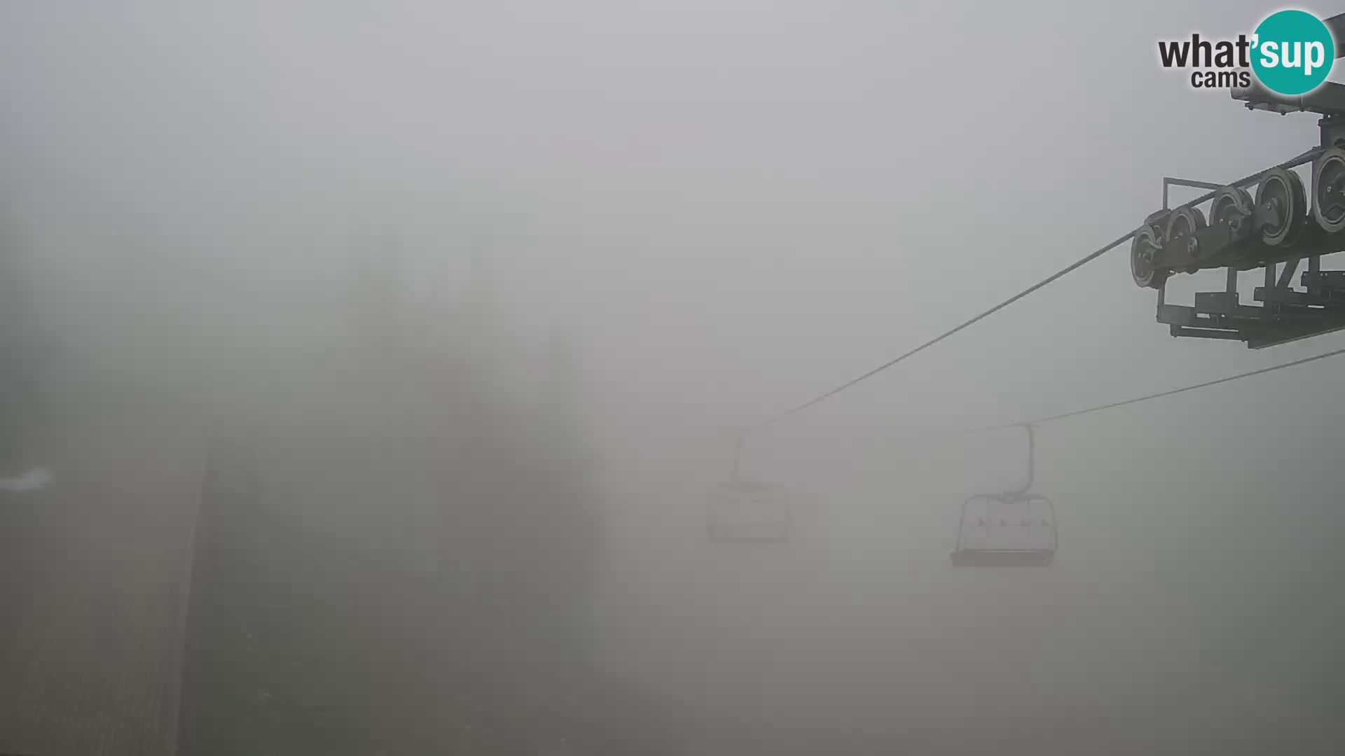 Vogel Live webcam – Brunarica – Slovénie