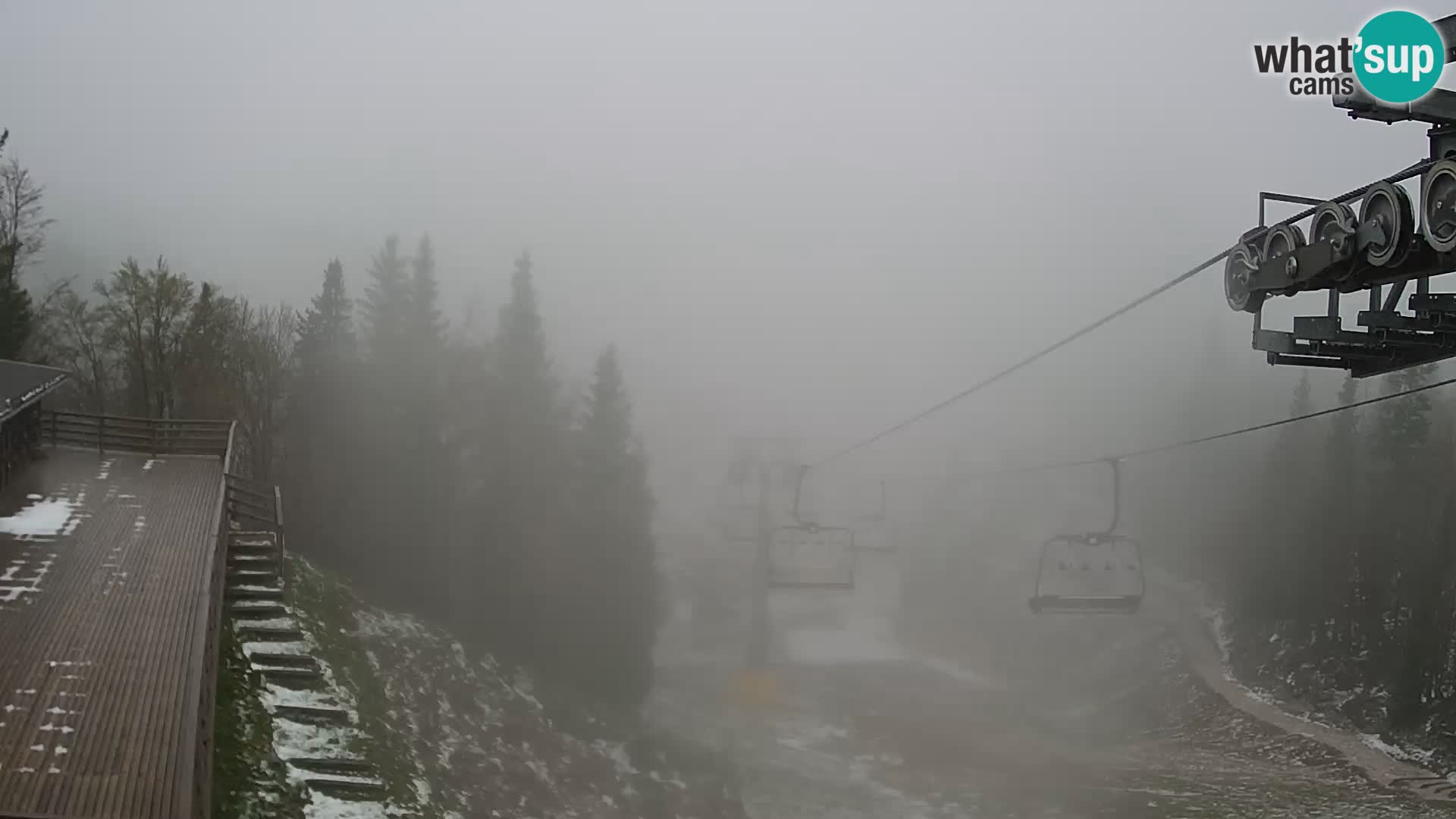 Vogel webcam kamera – Brunarica – Slowenien