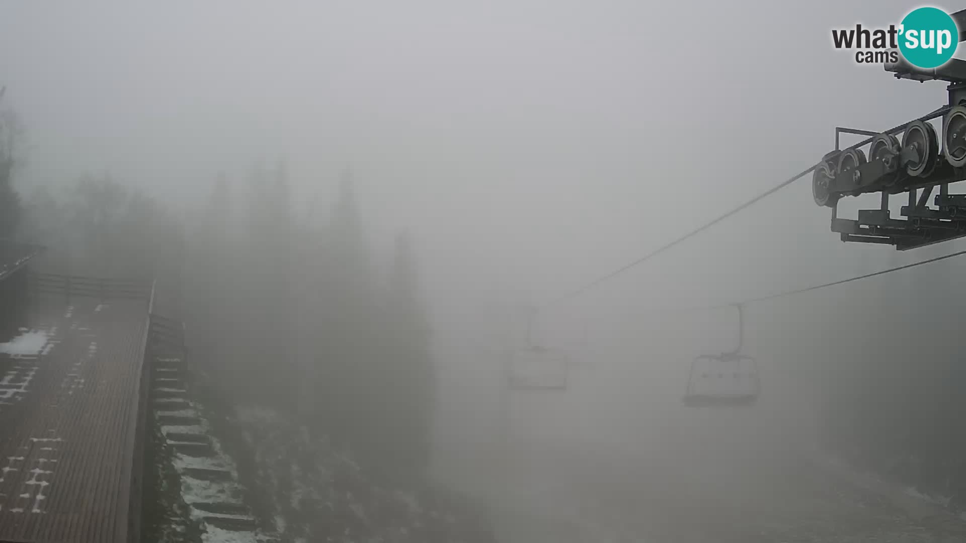 Vogel webcam kamera – Brunarica – Slowenien