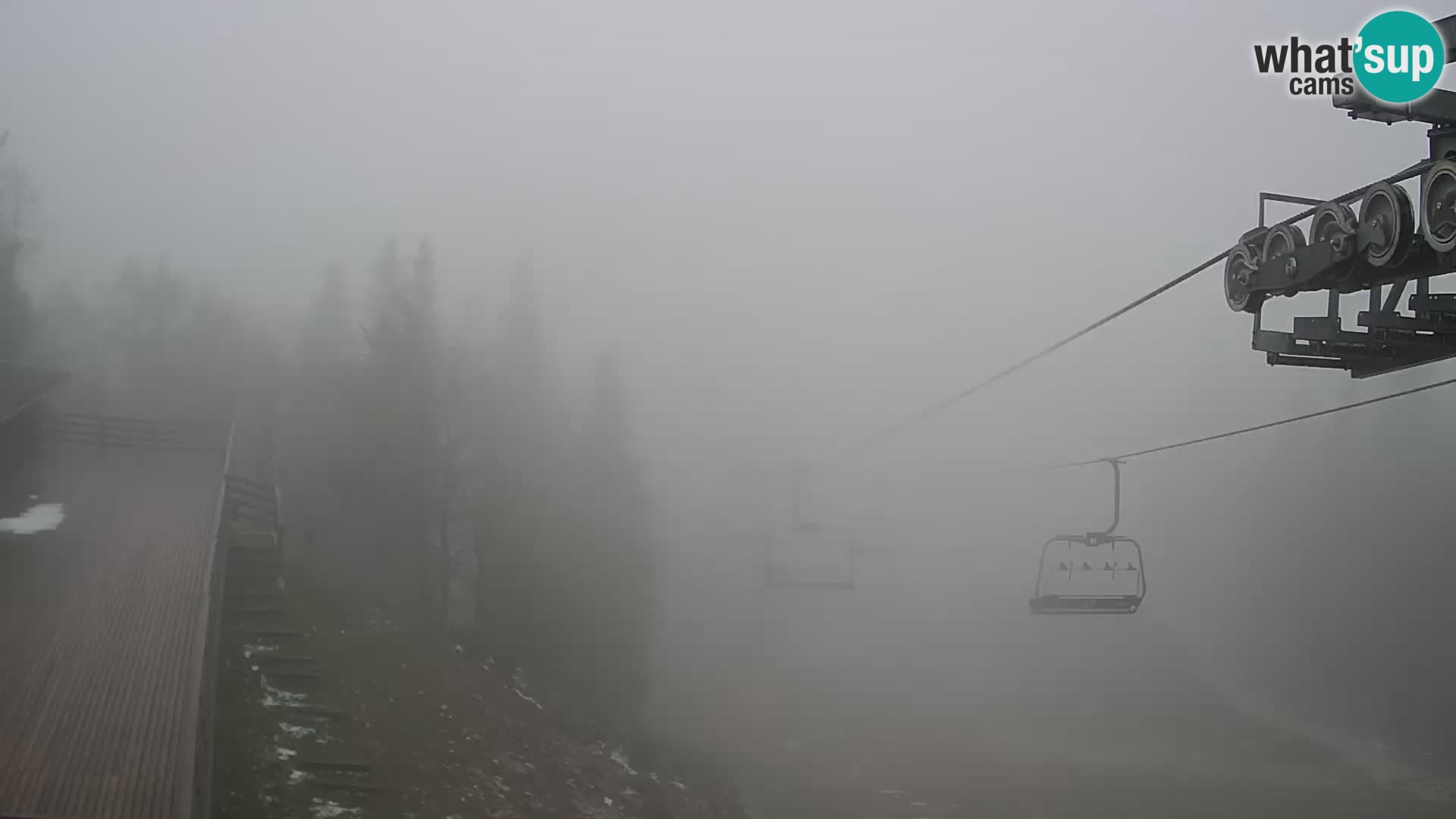 Vogel web kamera – Brunarica – Slovenija