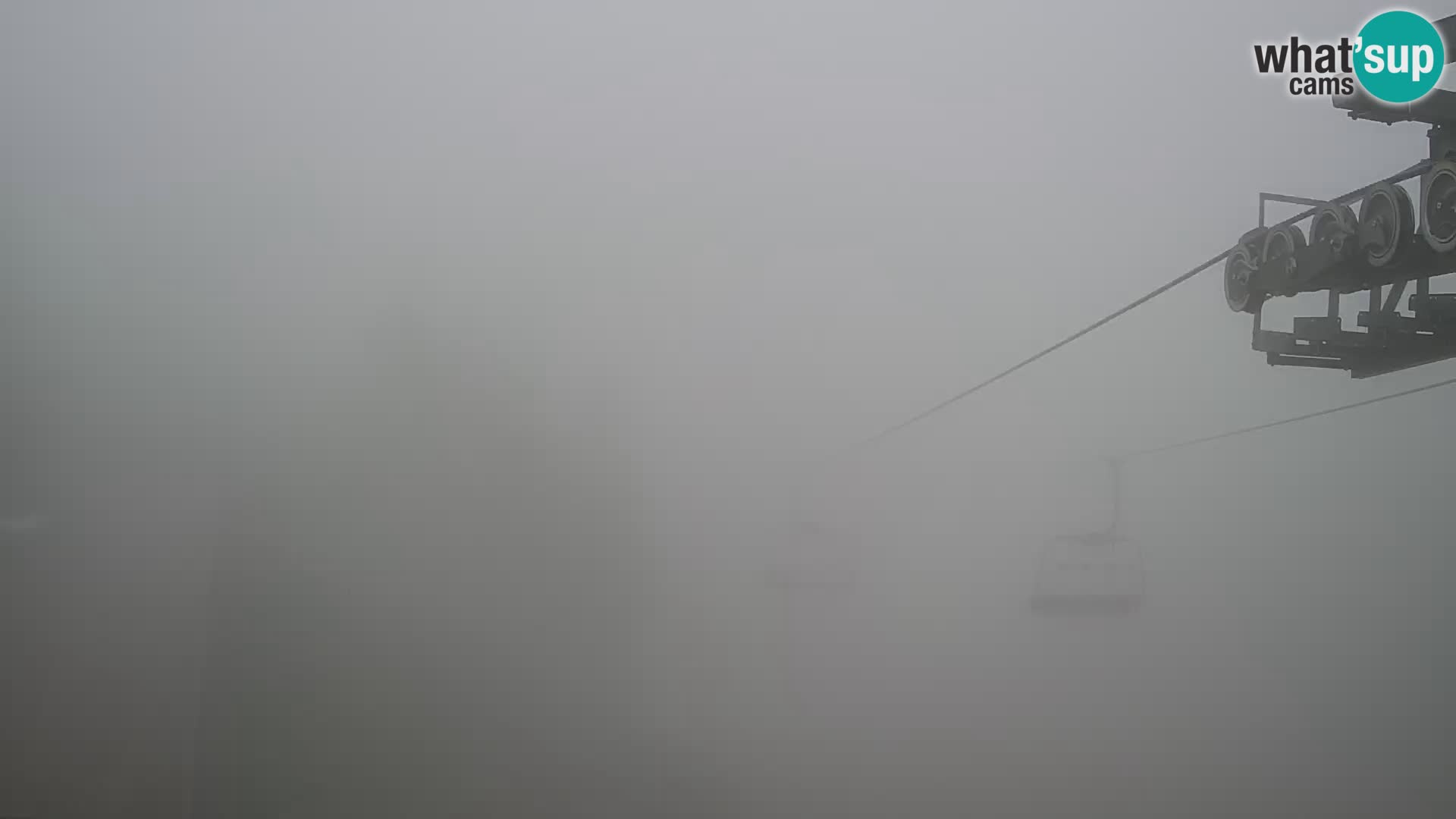 Vogel web kamera – Brunarica – Slovenija