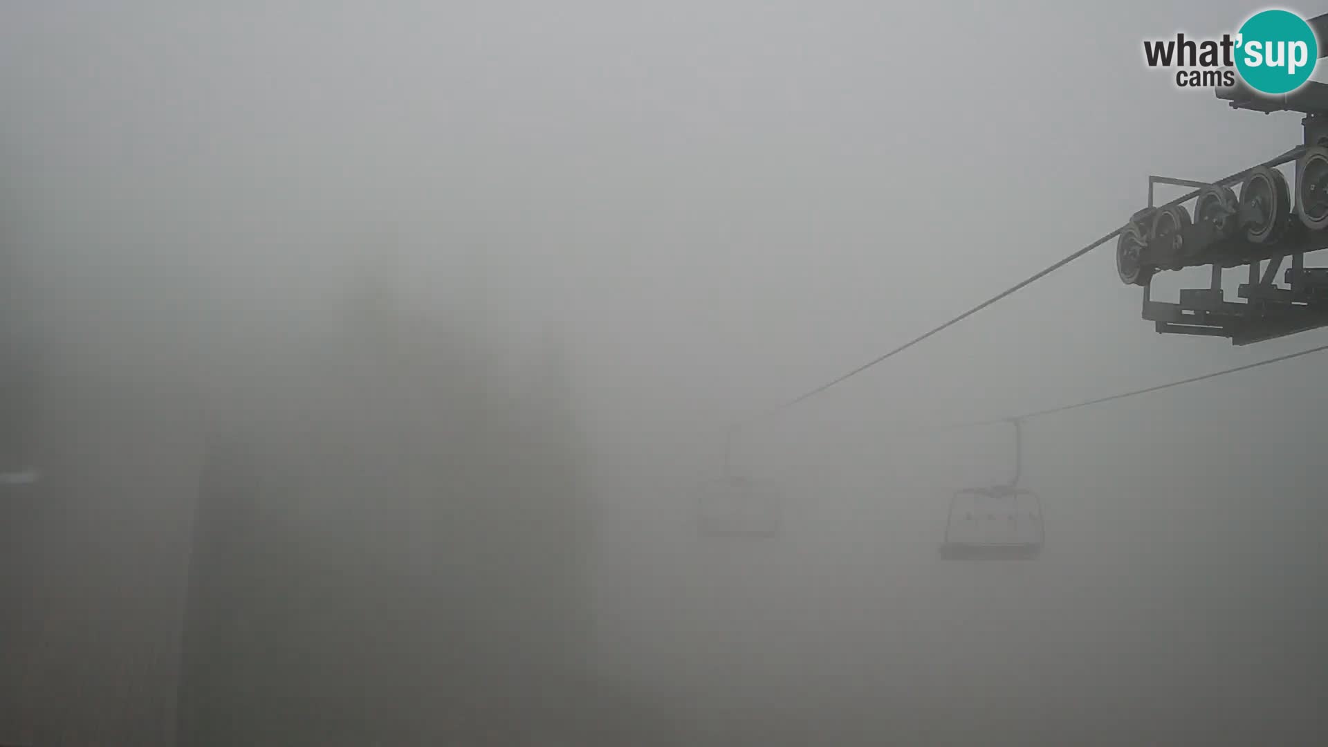 Vogel webcam kamera – Brunarica – Slowenien