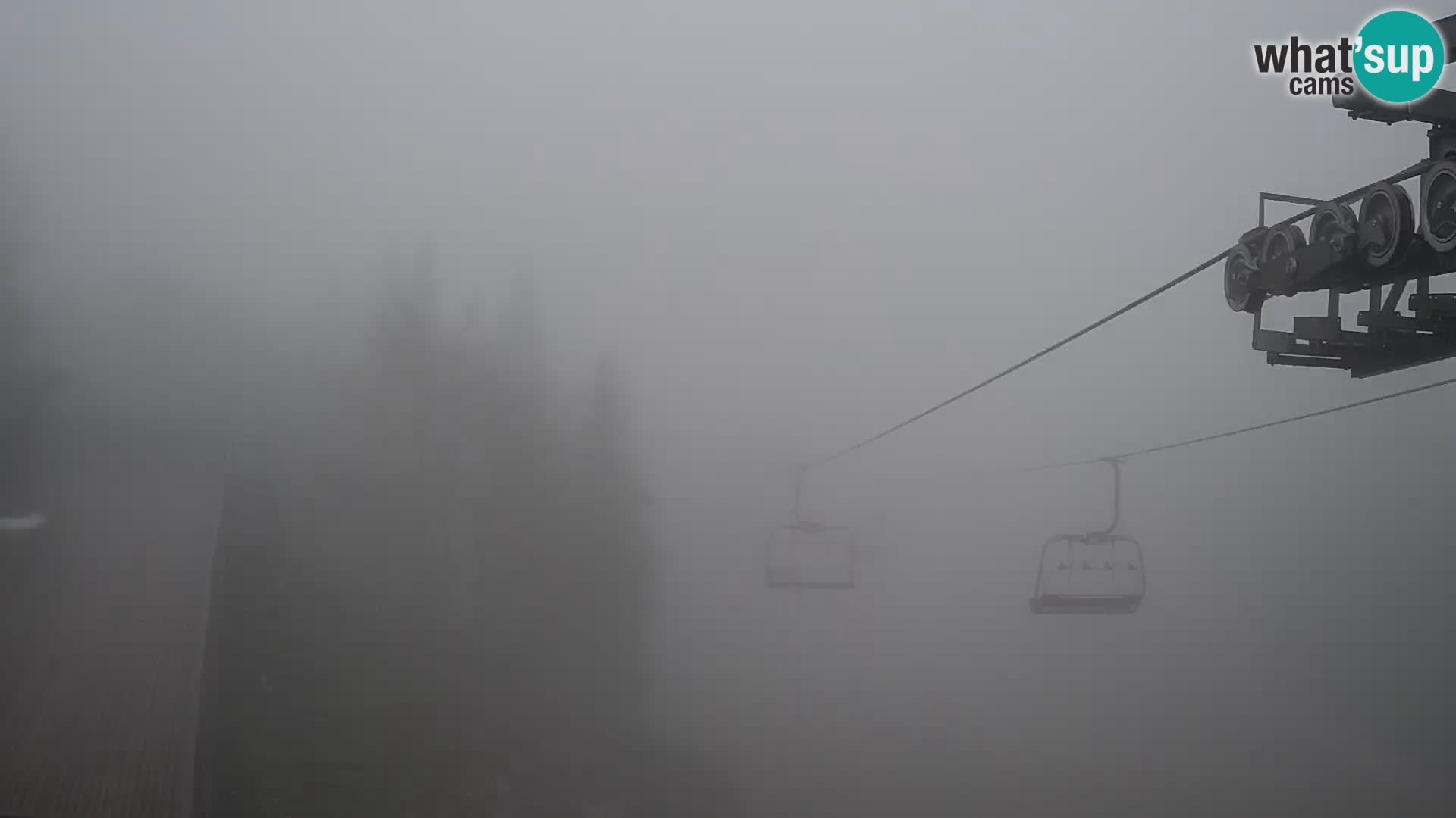 Vogel webcam kamera – Brunarica – Slowenien