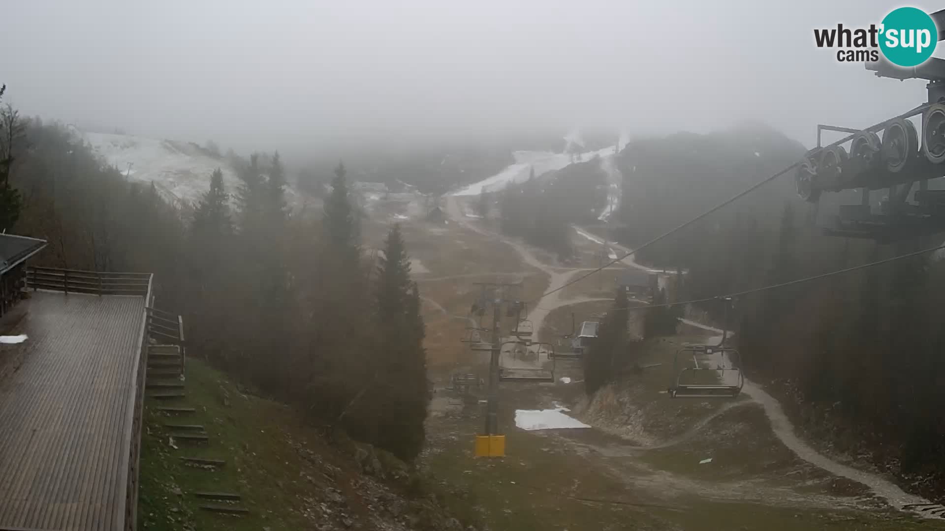 Vogel webcam kamera – Brunarica – Slowenien