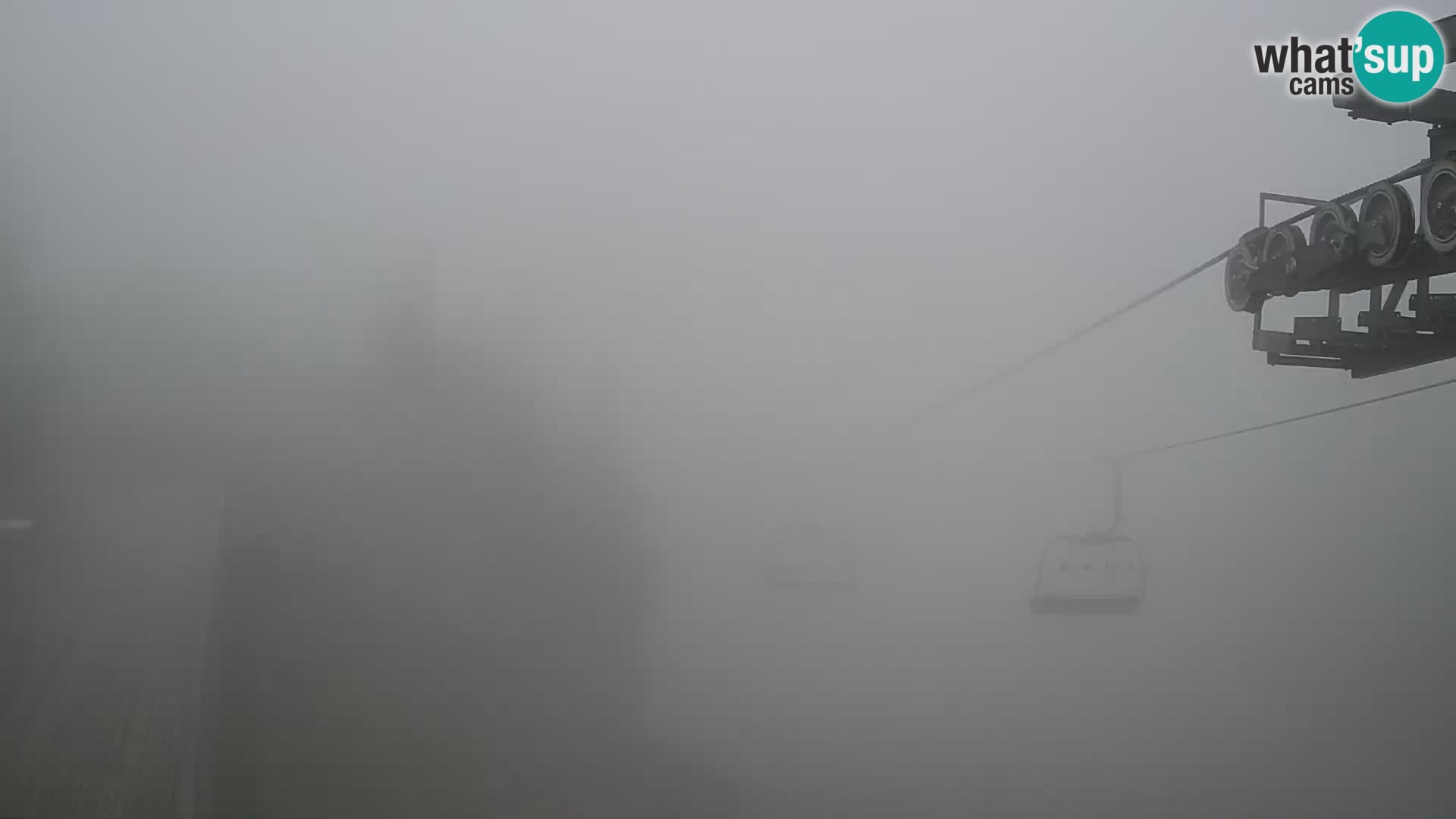 Vogel web kamera – Brunarica – Slovenija