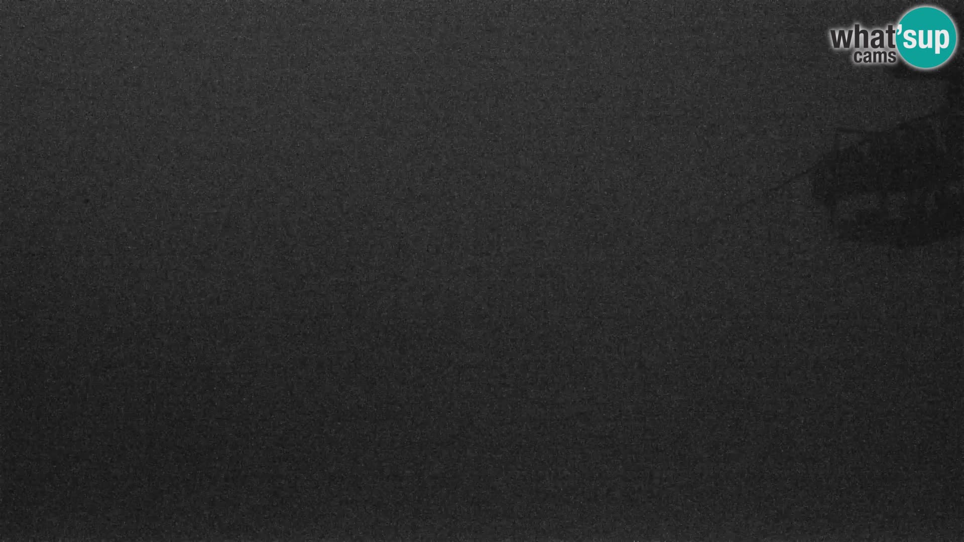 Vogel Live webcam – Brunarica – Slovénie