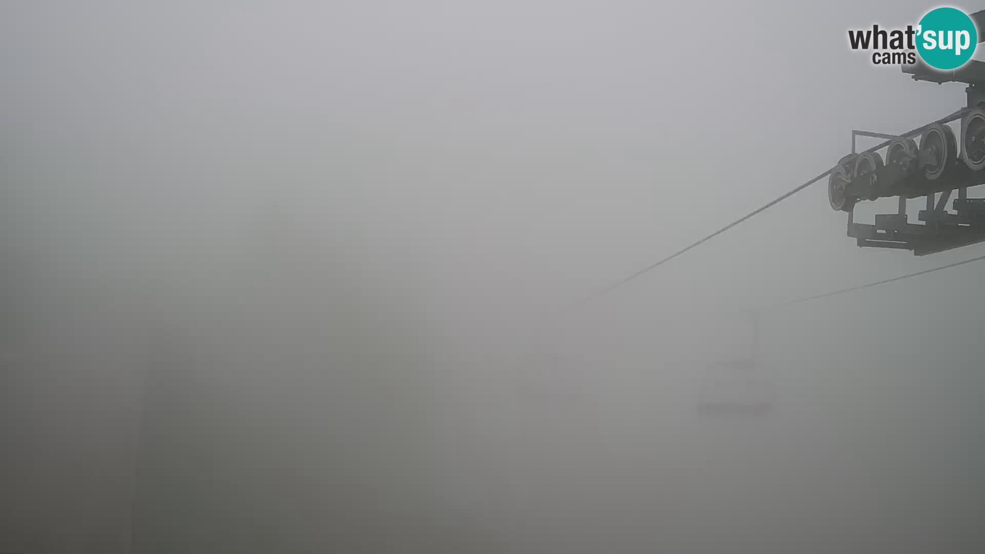Vogel webcam kamera – Brunarica – Slowenien