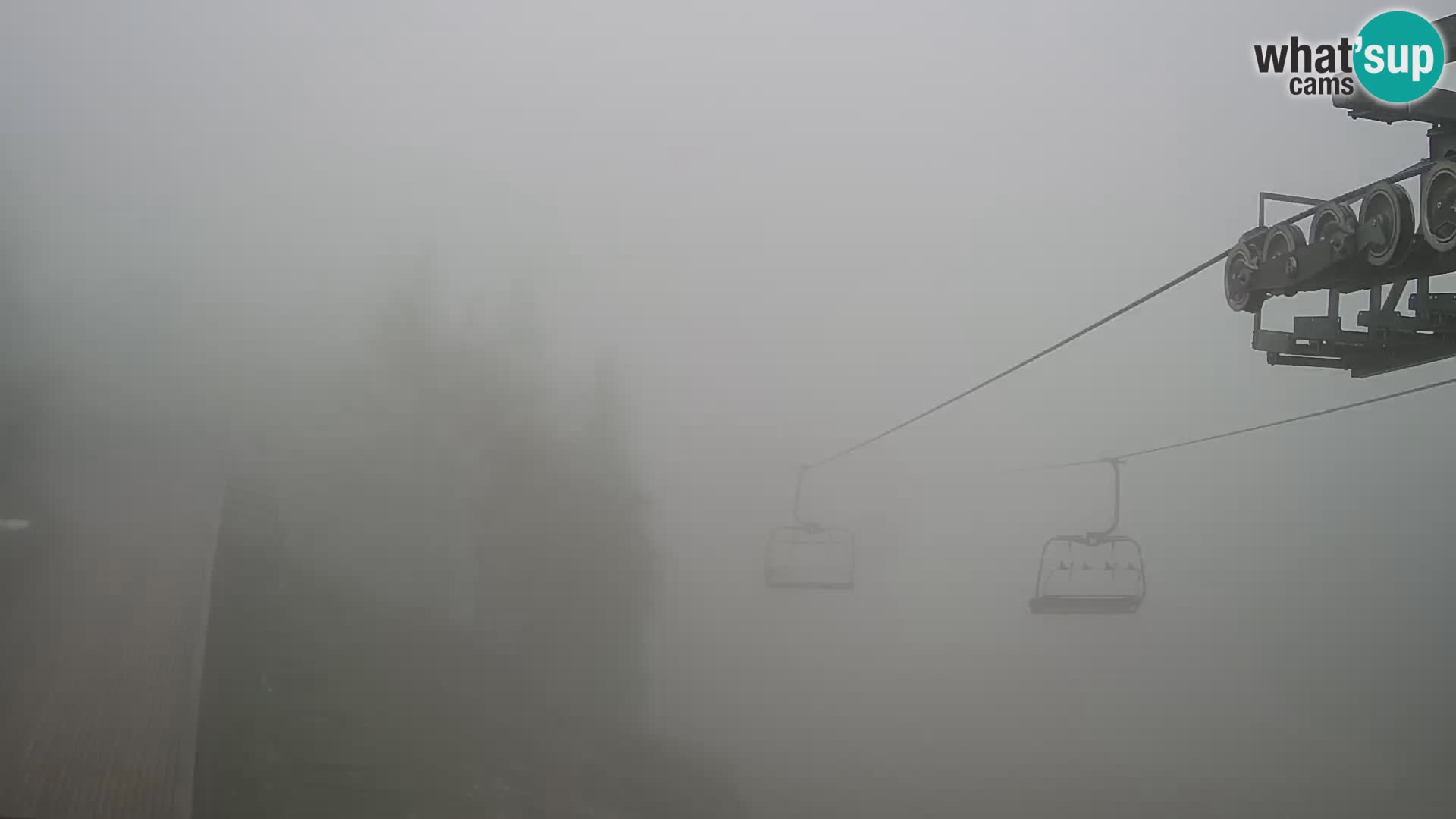 Vogel webcam kamera – Brunarica – Slowenien