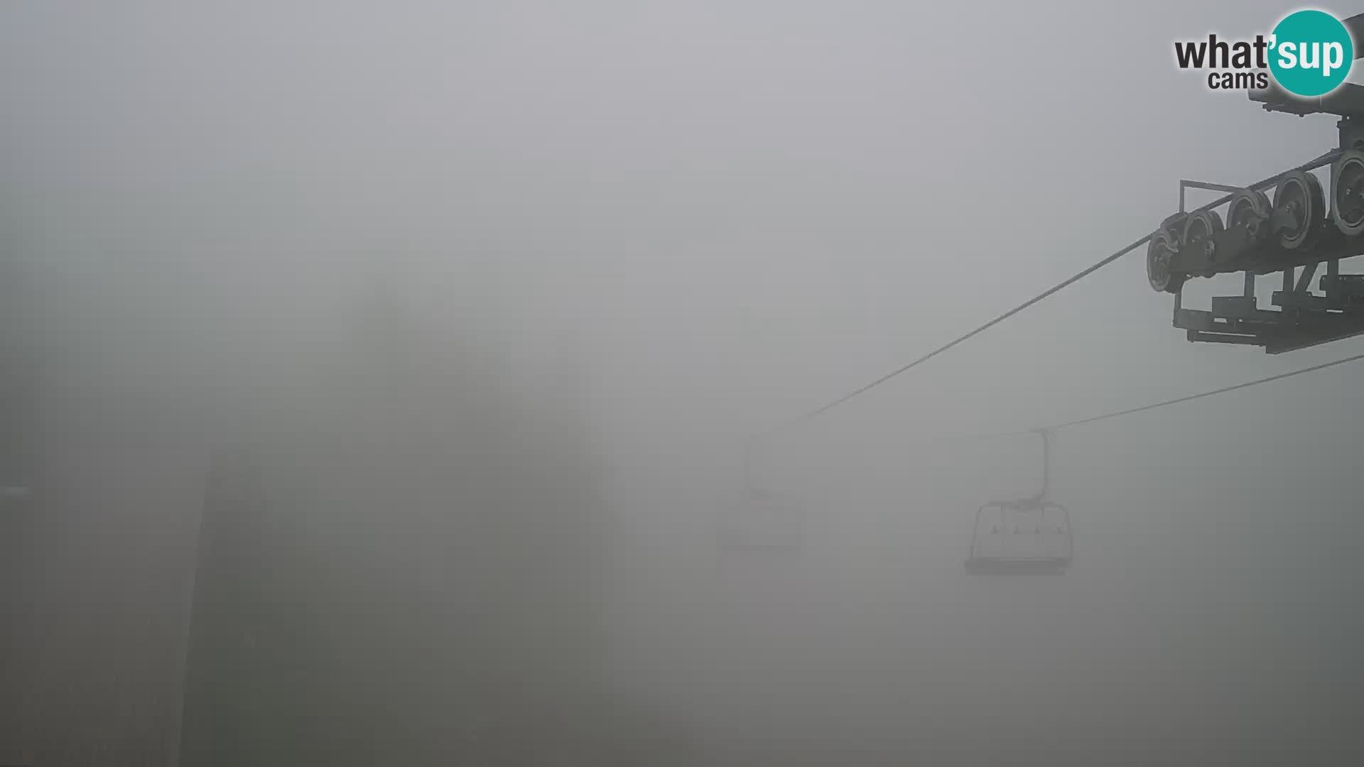 Vogel web kamera – Brunarica – Slovenija