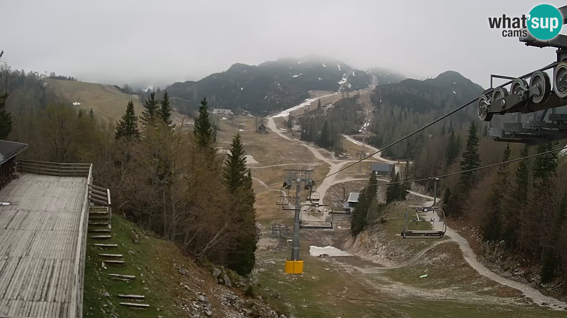 Vogel Live webcam – Brunarica – Slovenia