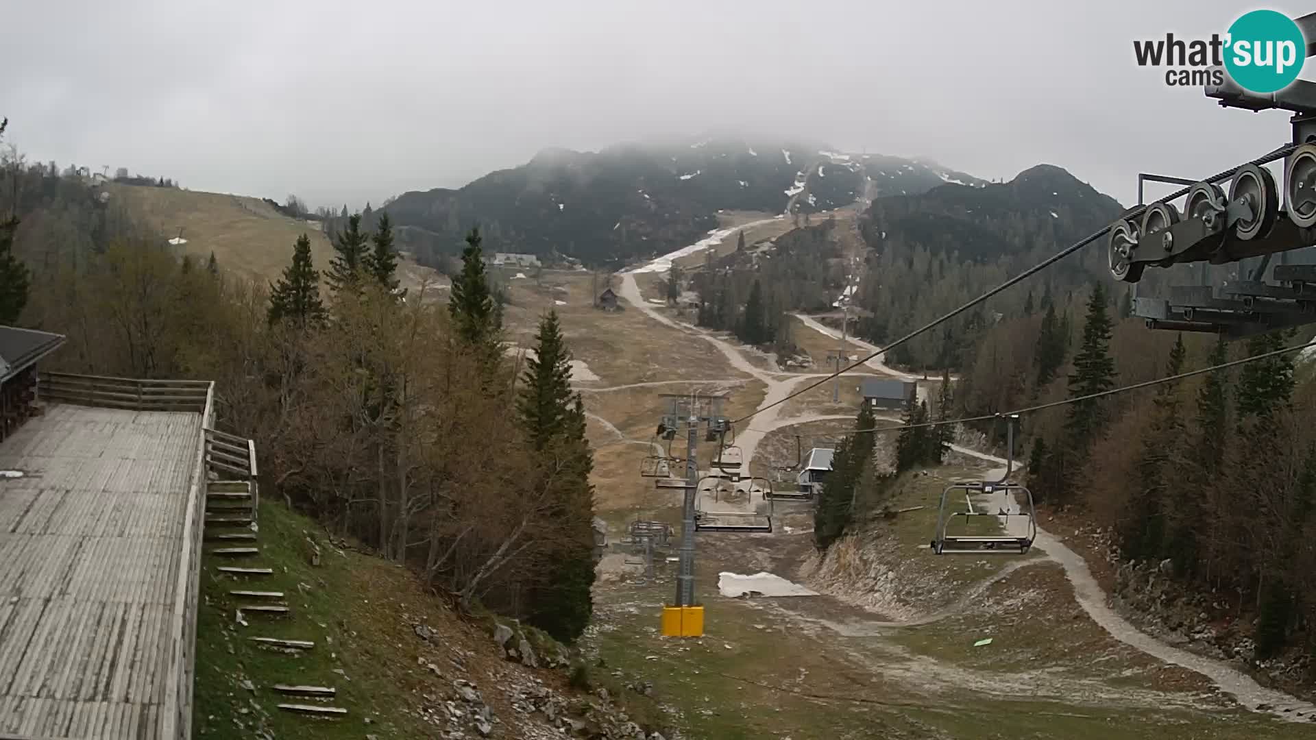 Vogel web kamera – Brunarica – Slovenija