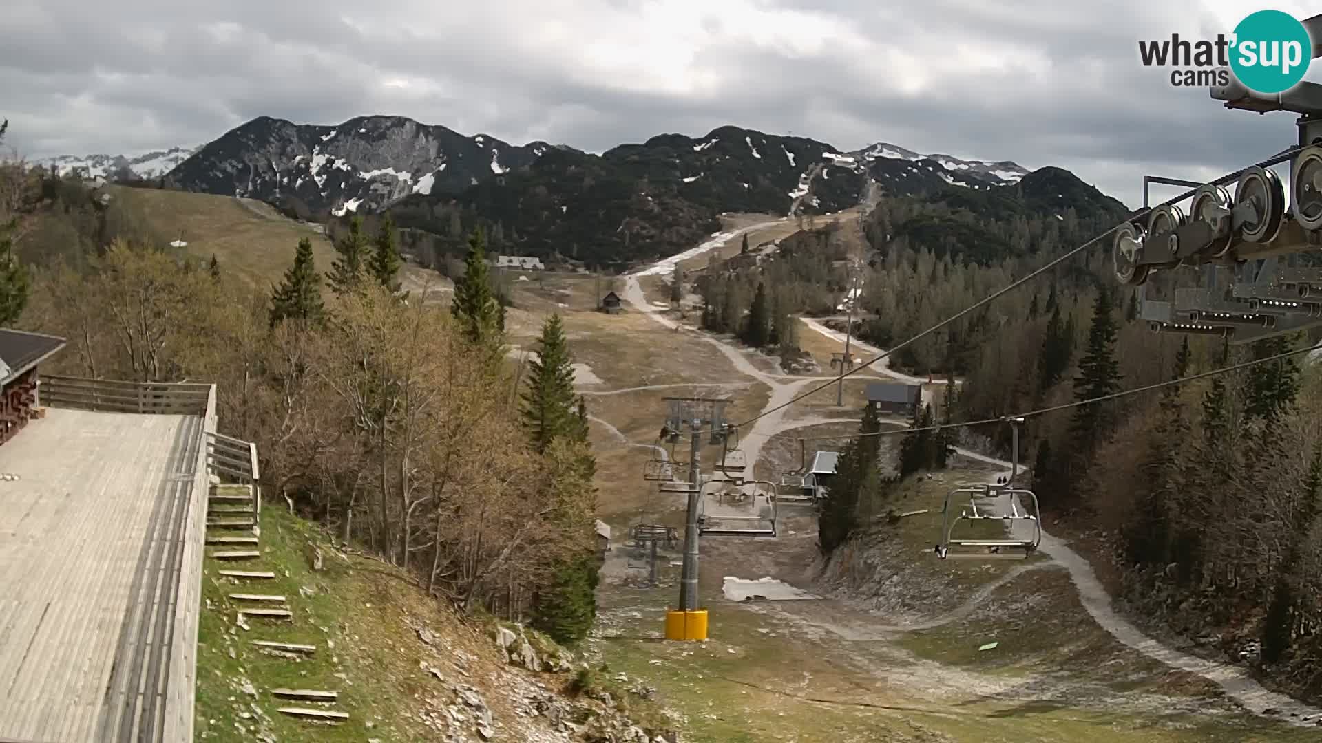 Vogel Live webcam – Brunarica – Slovenia