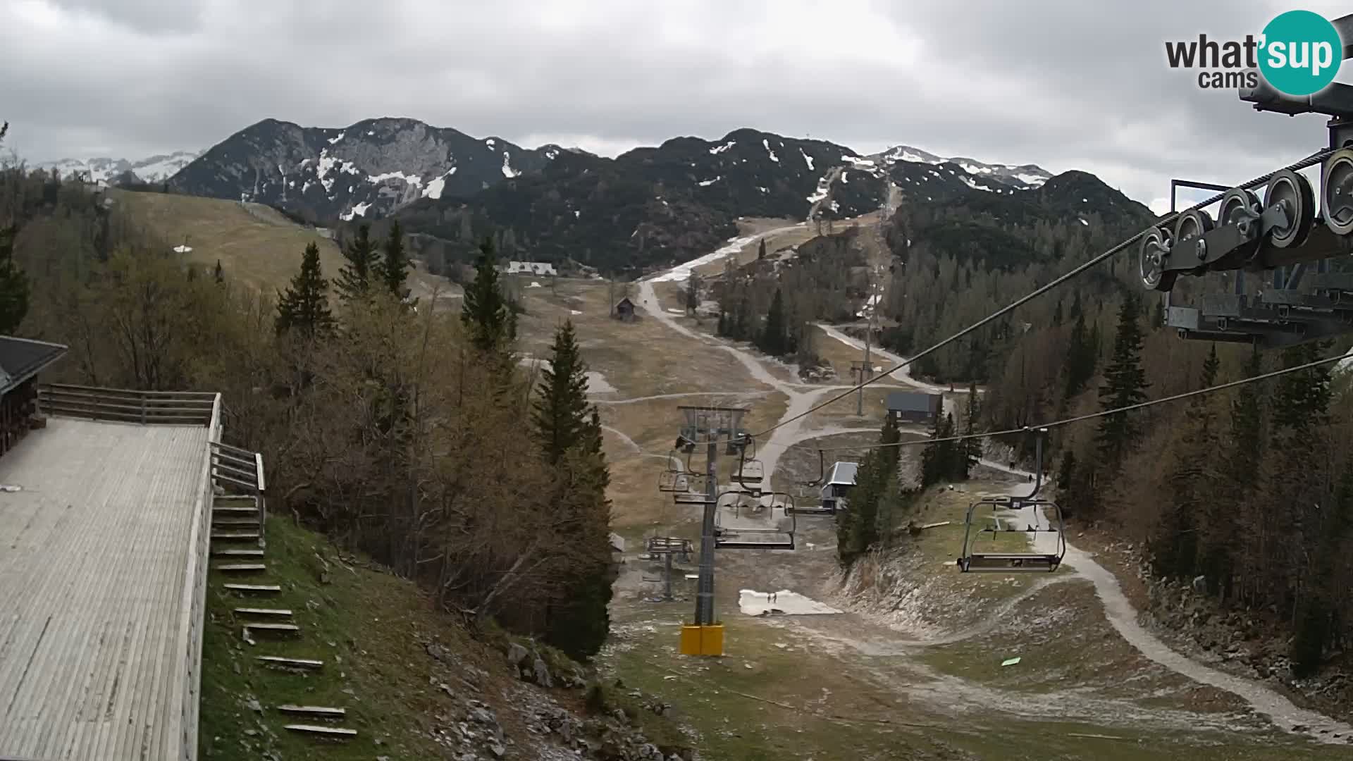 Vogel webcam kamera – Brunarica – Slowenien