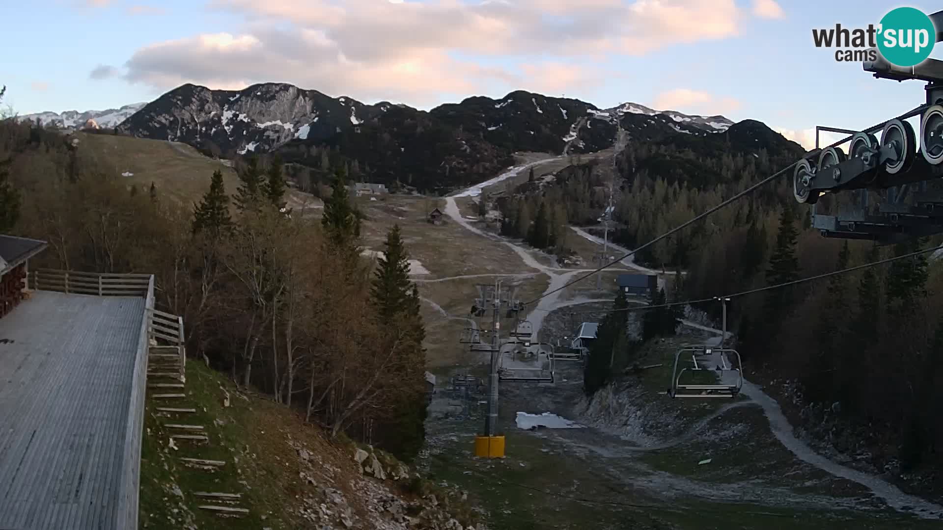 Vogel web kamera – Brunarica – Slovenija