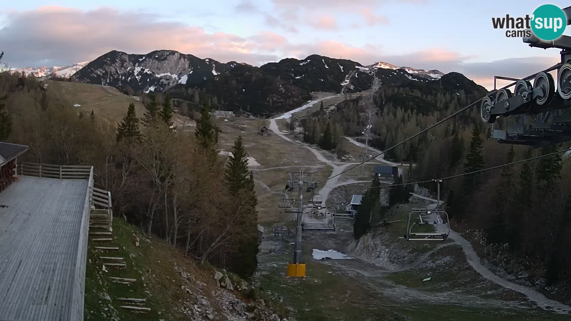 Vogel web kamera – Brunarica – Slovenija